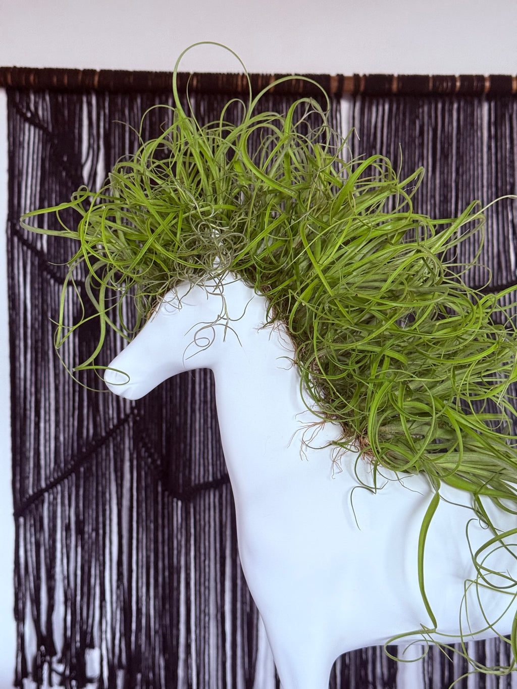 Caballo de la fortaleza 50x60cm(Resina) + plantas + Raíz vital 120 ml
