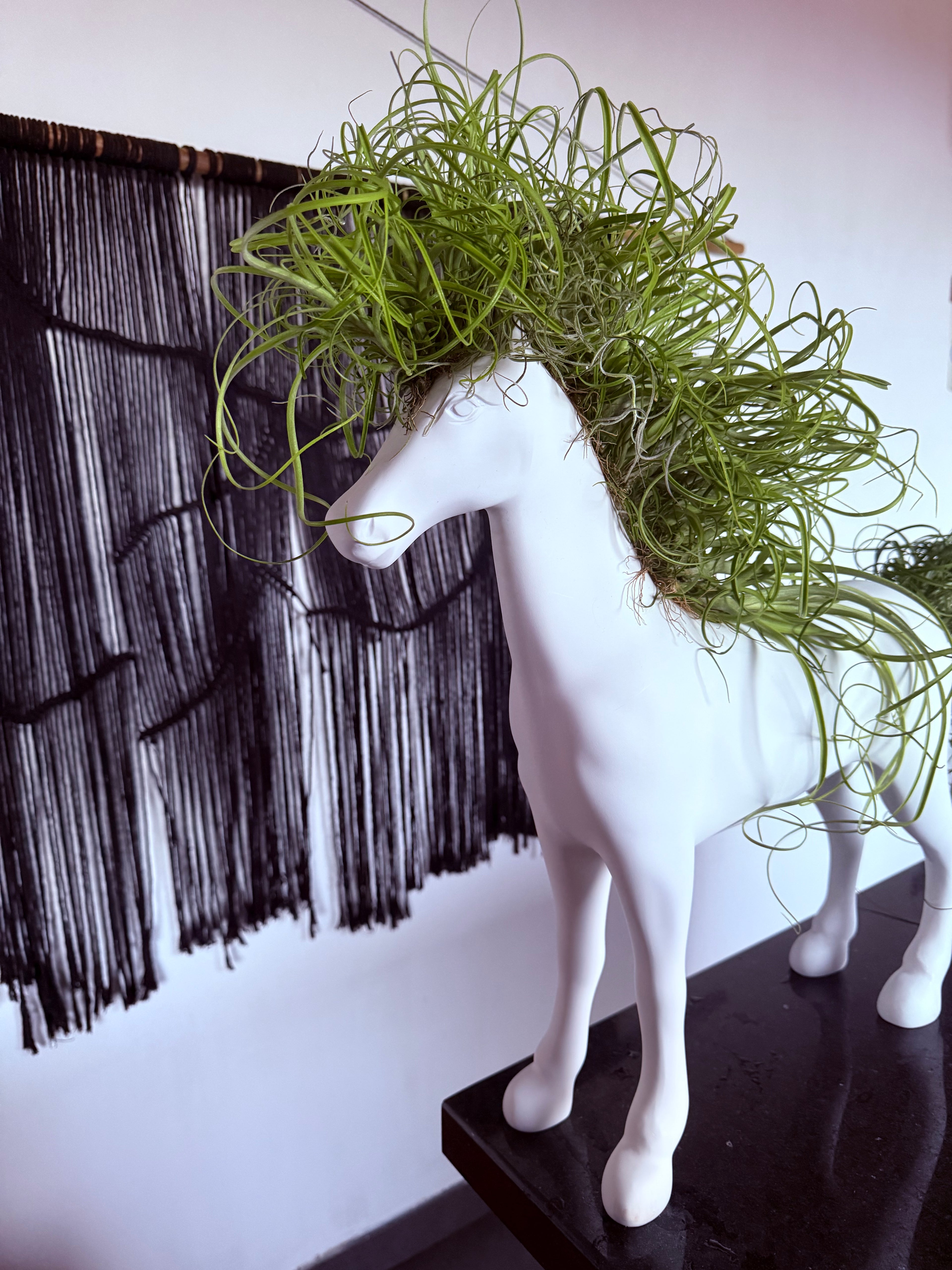 Caballo de la fortaleza 50x60cm(Resina) + plantas + Raíz vital 120 ml