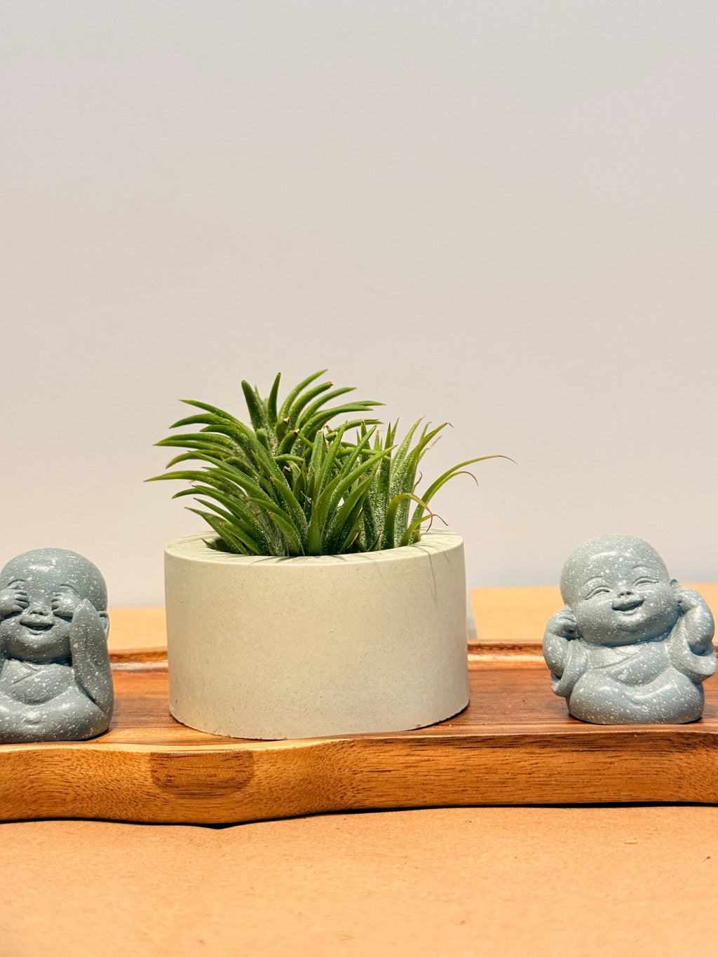 Budas de la sabiduría arreglo Feng Shui