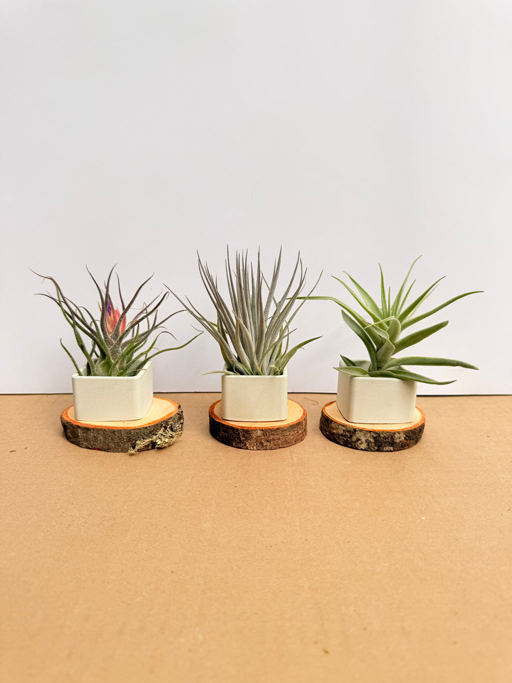 Kit Till. Mini 3x3 + materas + maderas