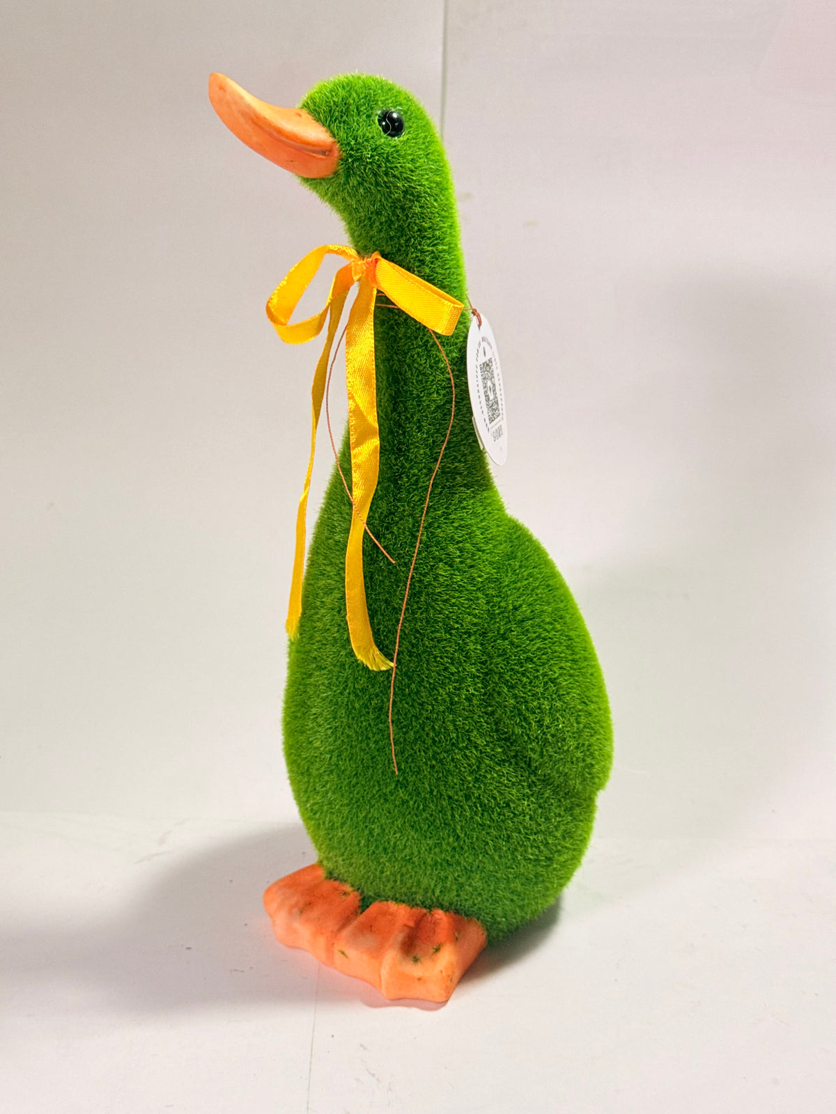 Pato de pasto