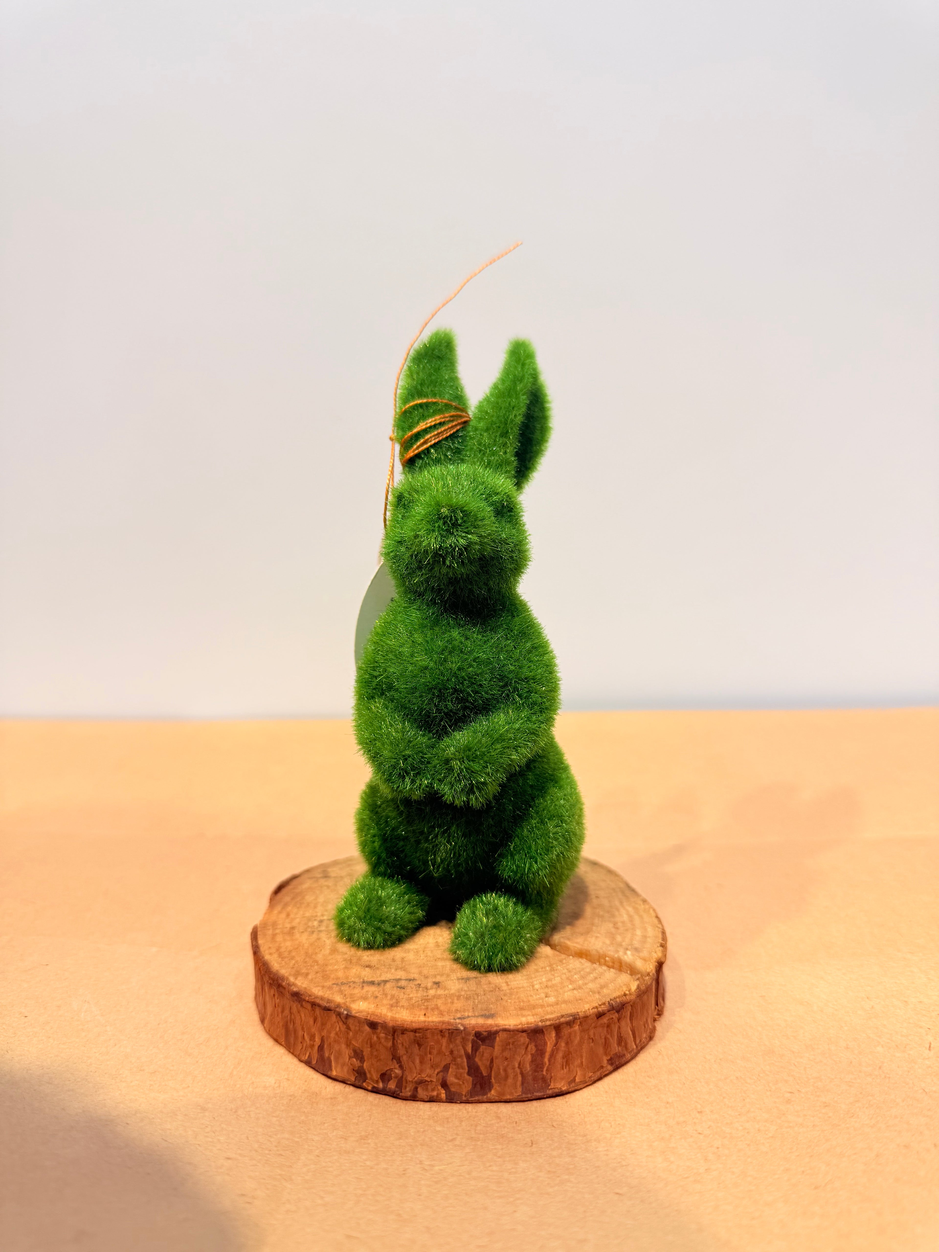 Conejo de la prosperidad mini