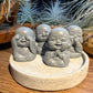 Budas de la sabiduría