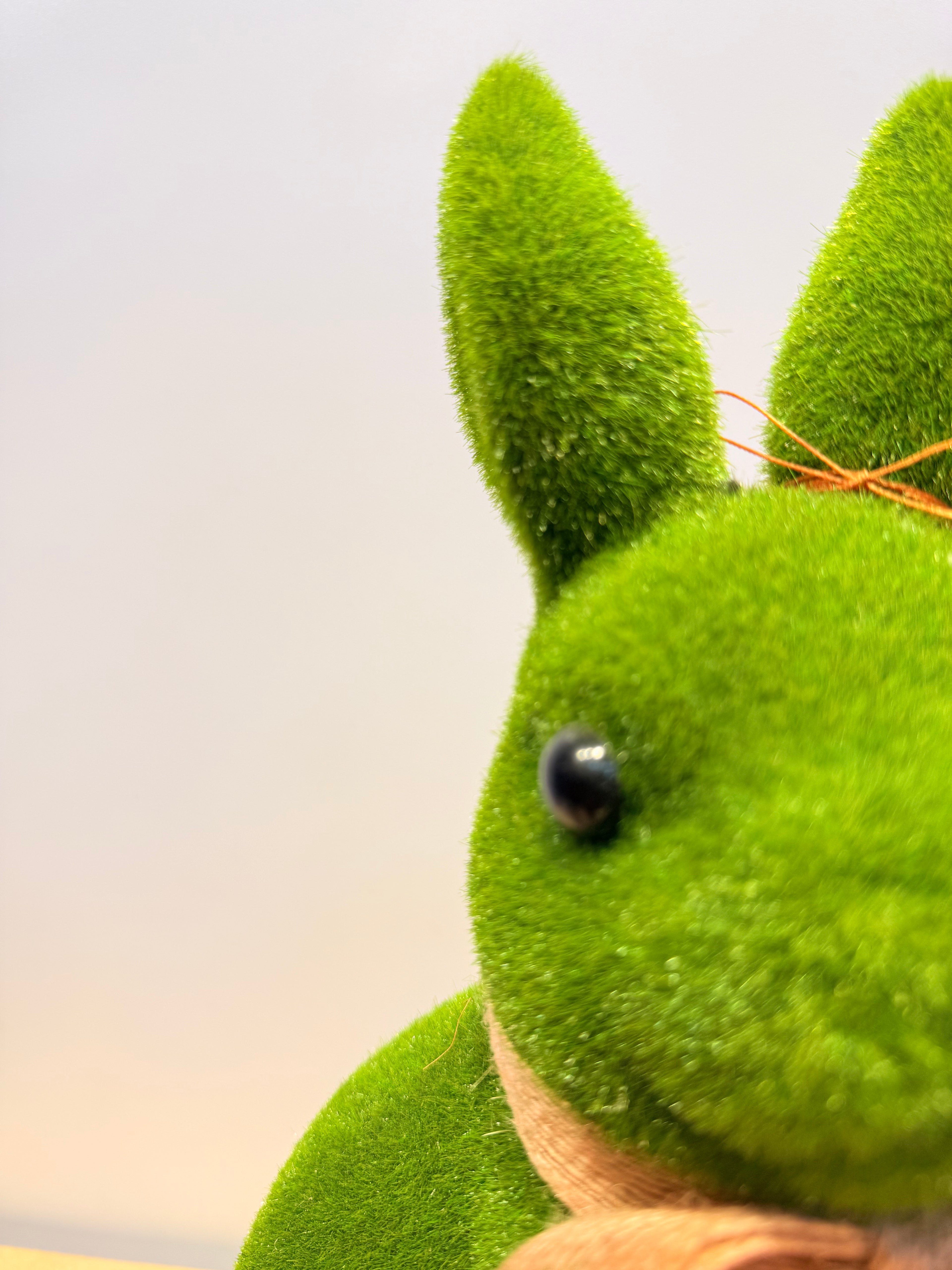 Conejo de la prosperidad grande