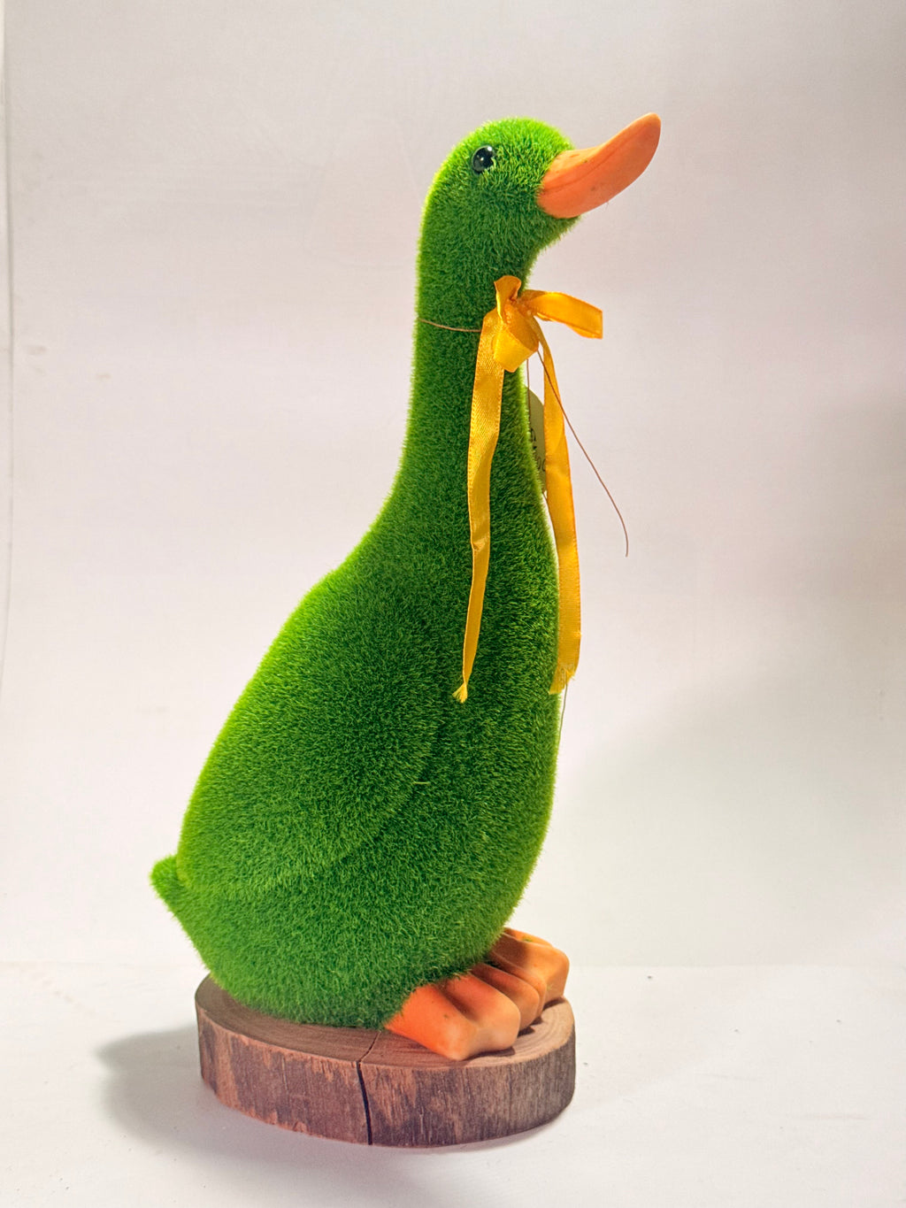 Pato de pasto