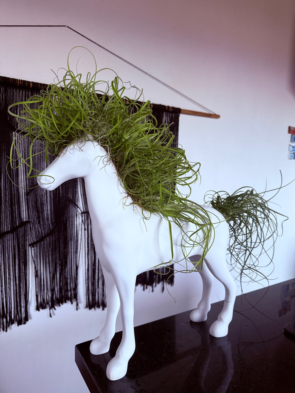 Caballo de la fortaleza 50x60cm(Resina) + plantas + Raíz vital 120 ml