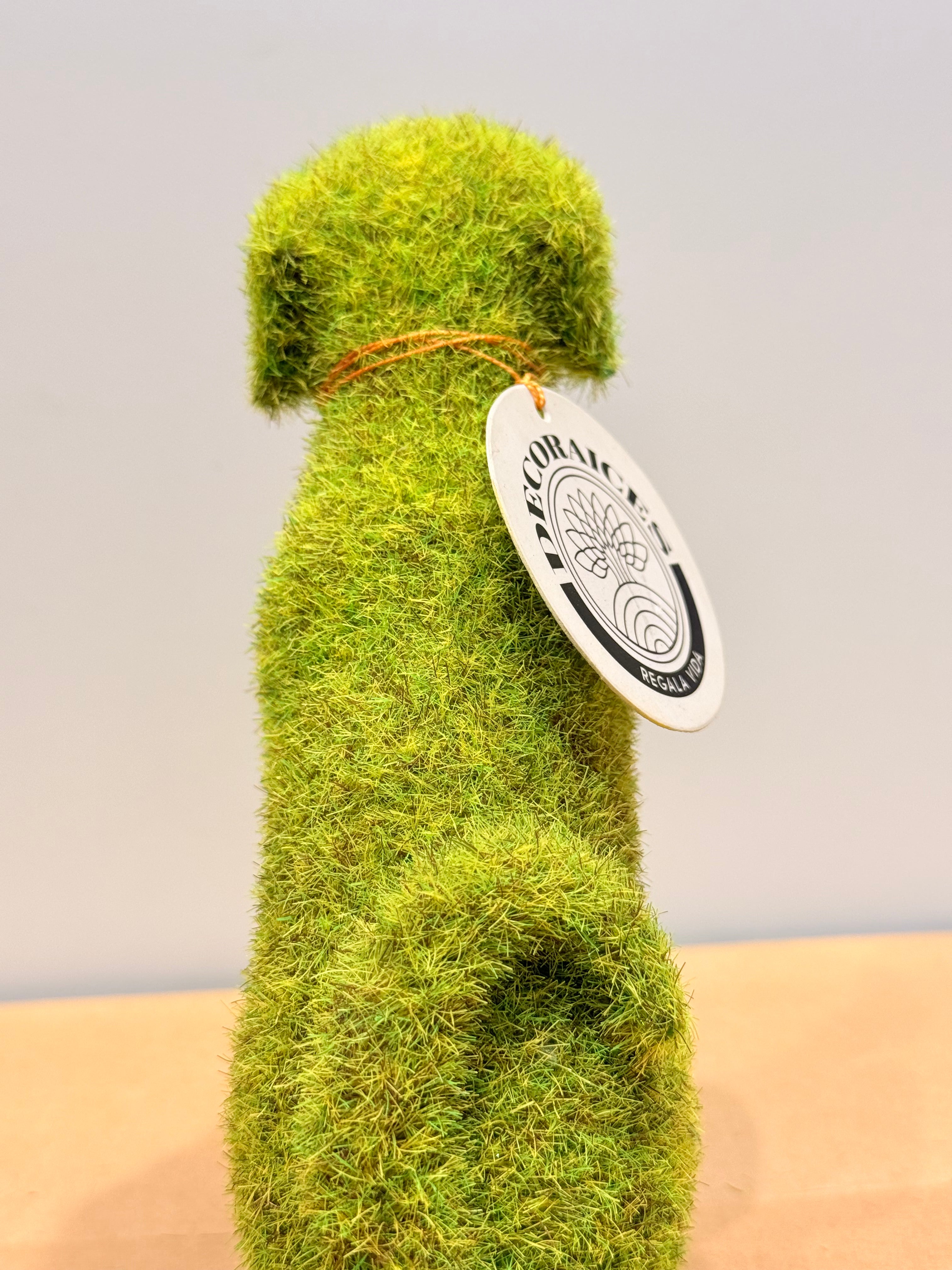 Perro de la protección