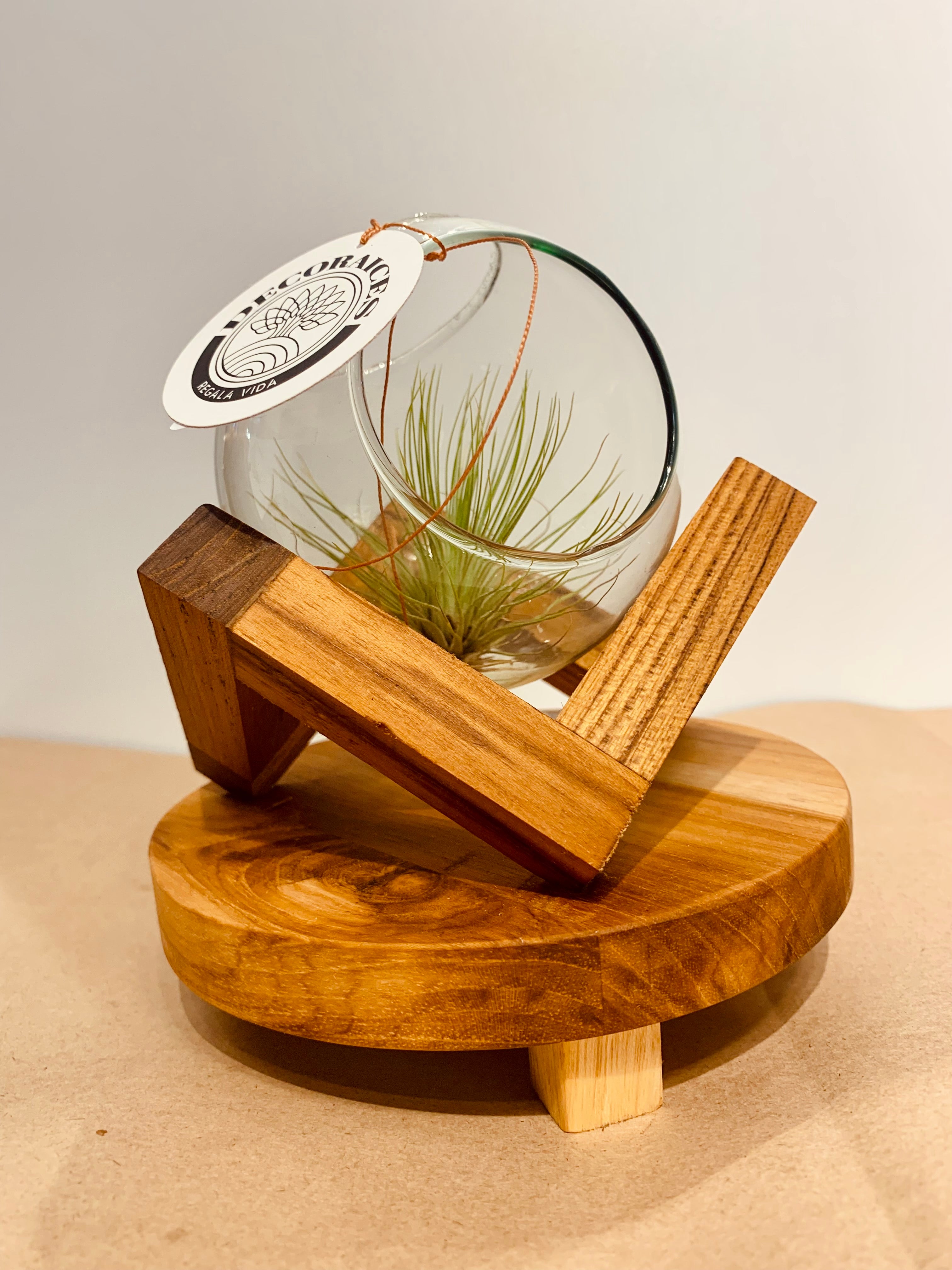 Till. Andreana terrarium M/V