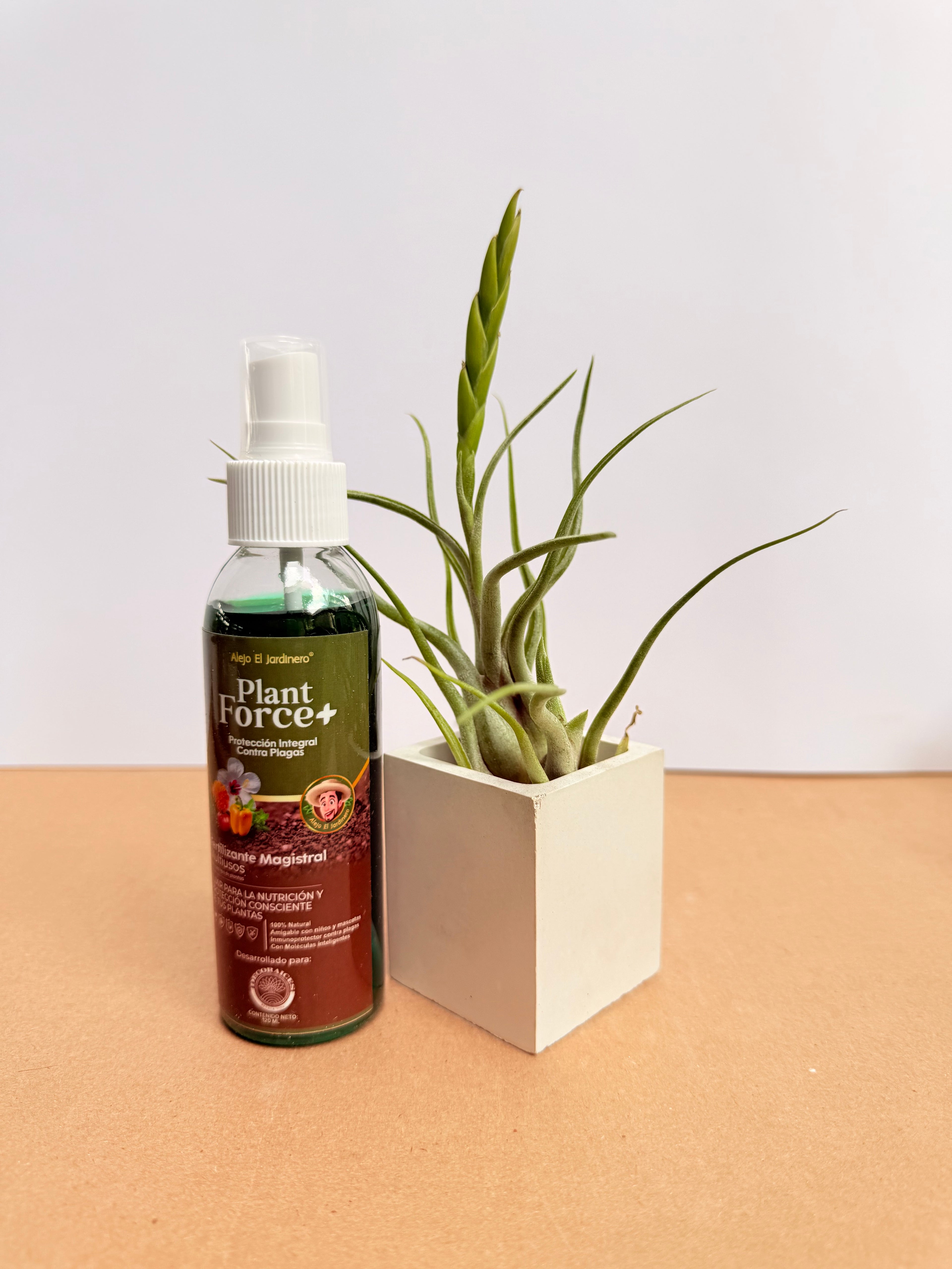 Kit Till. Caput medusae x2+ plant force + matera