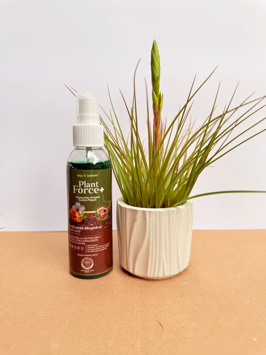 Kit Till. Tricolor + plant force + matera