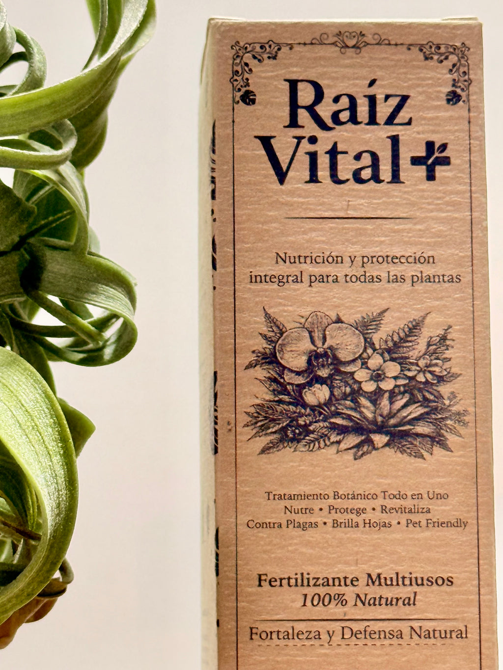 Kit Till. Curly Slim + espiral + rodaja madera + fertilizante