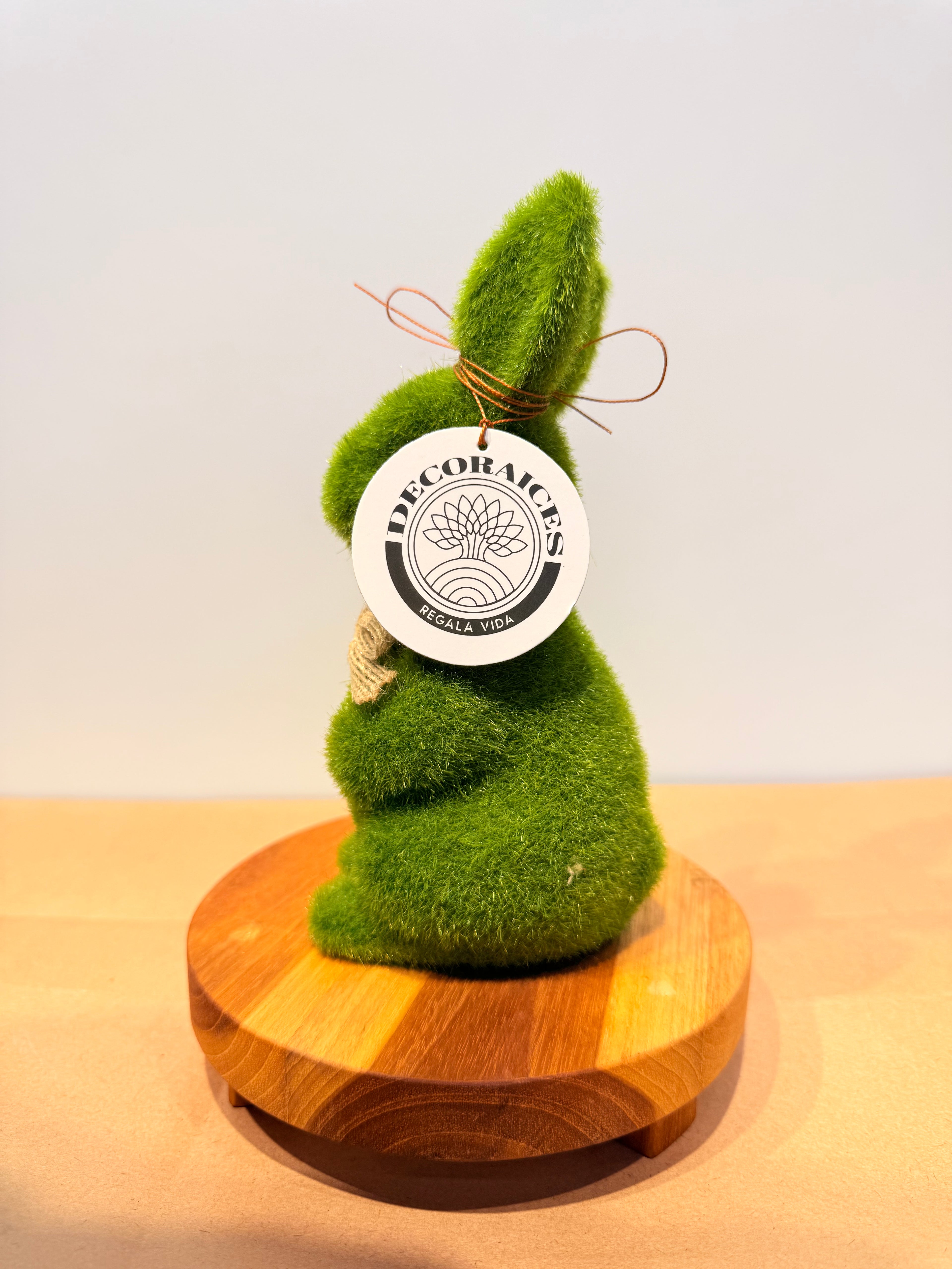 Conejo de la prosperidad + base