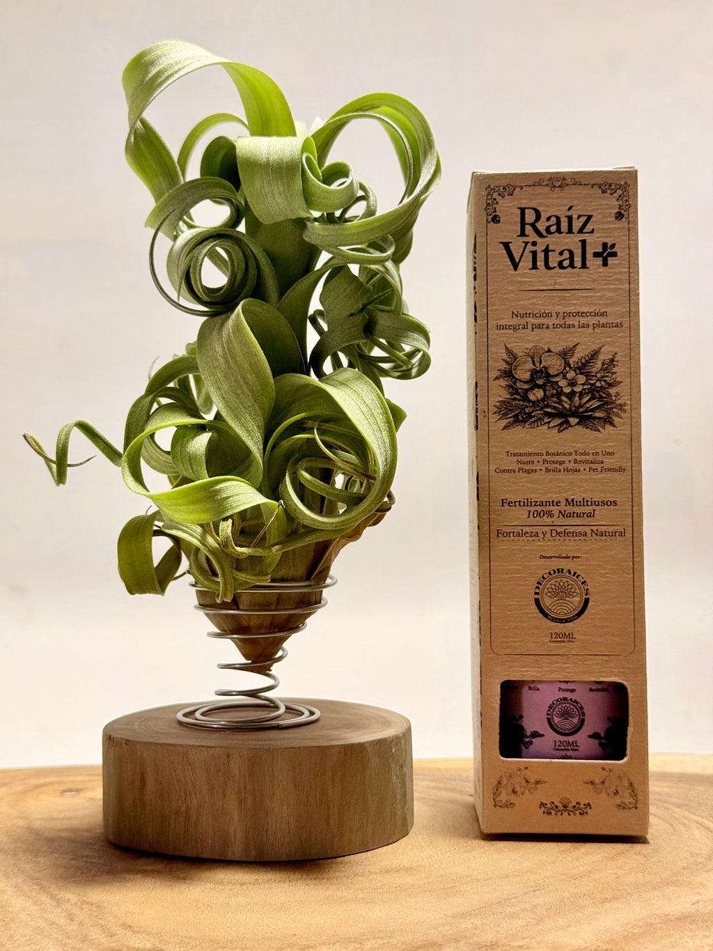 Kit Till. Curly Slim + espiral + rodaja madera + fertilizante