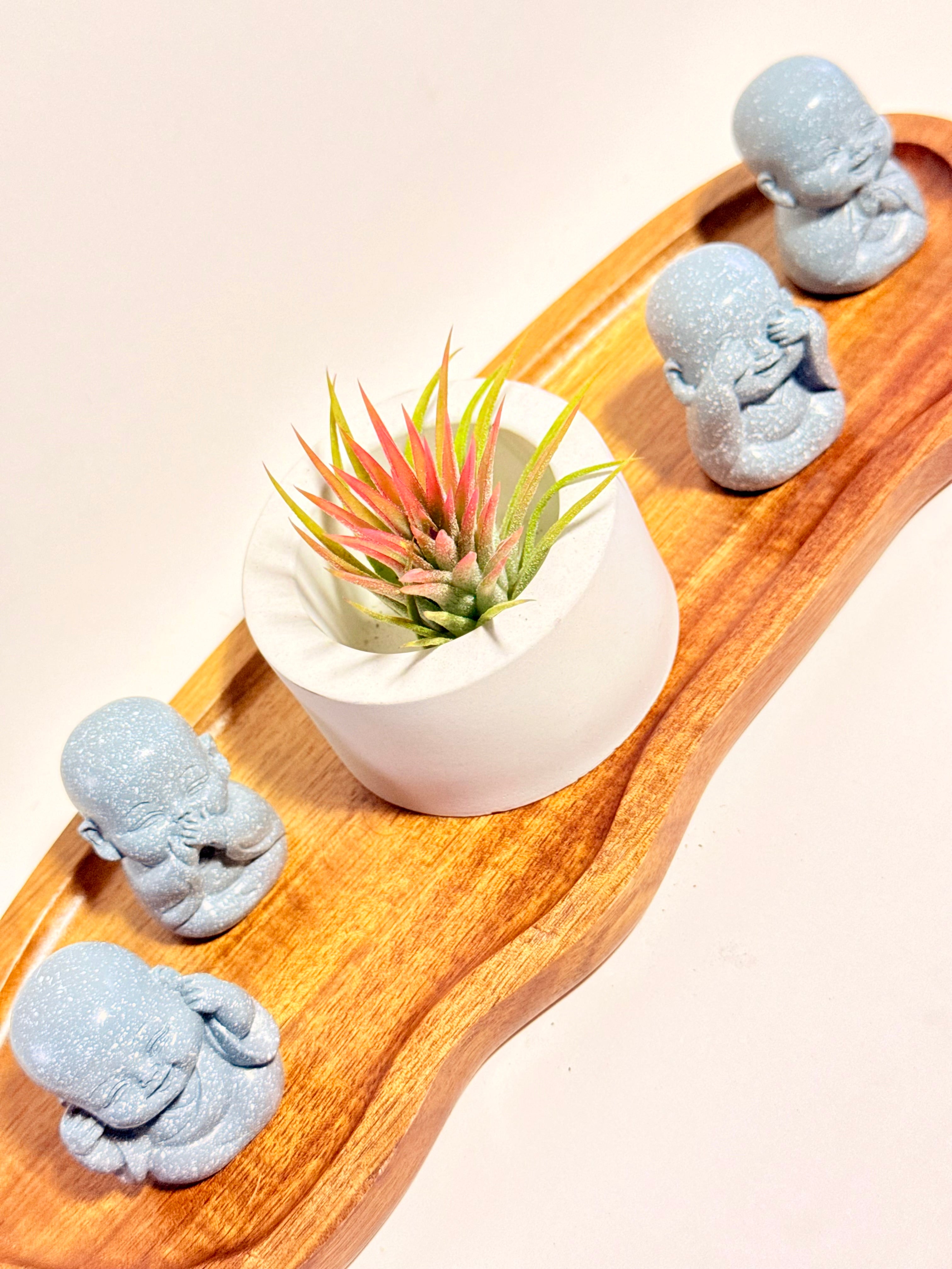 Budas de la sabiduría arreglo Feng Shui