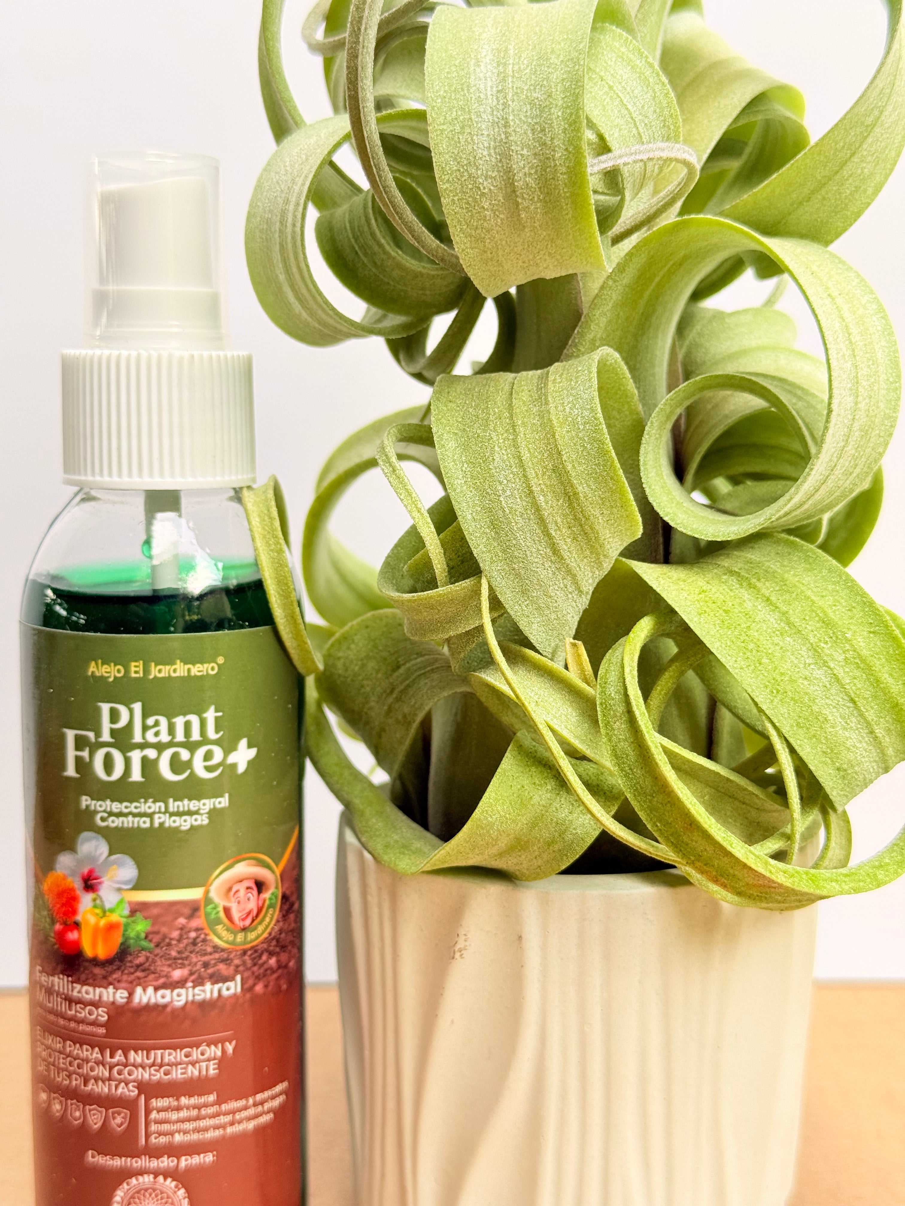 Kit Till. Curly slim m + plant force + matera