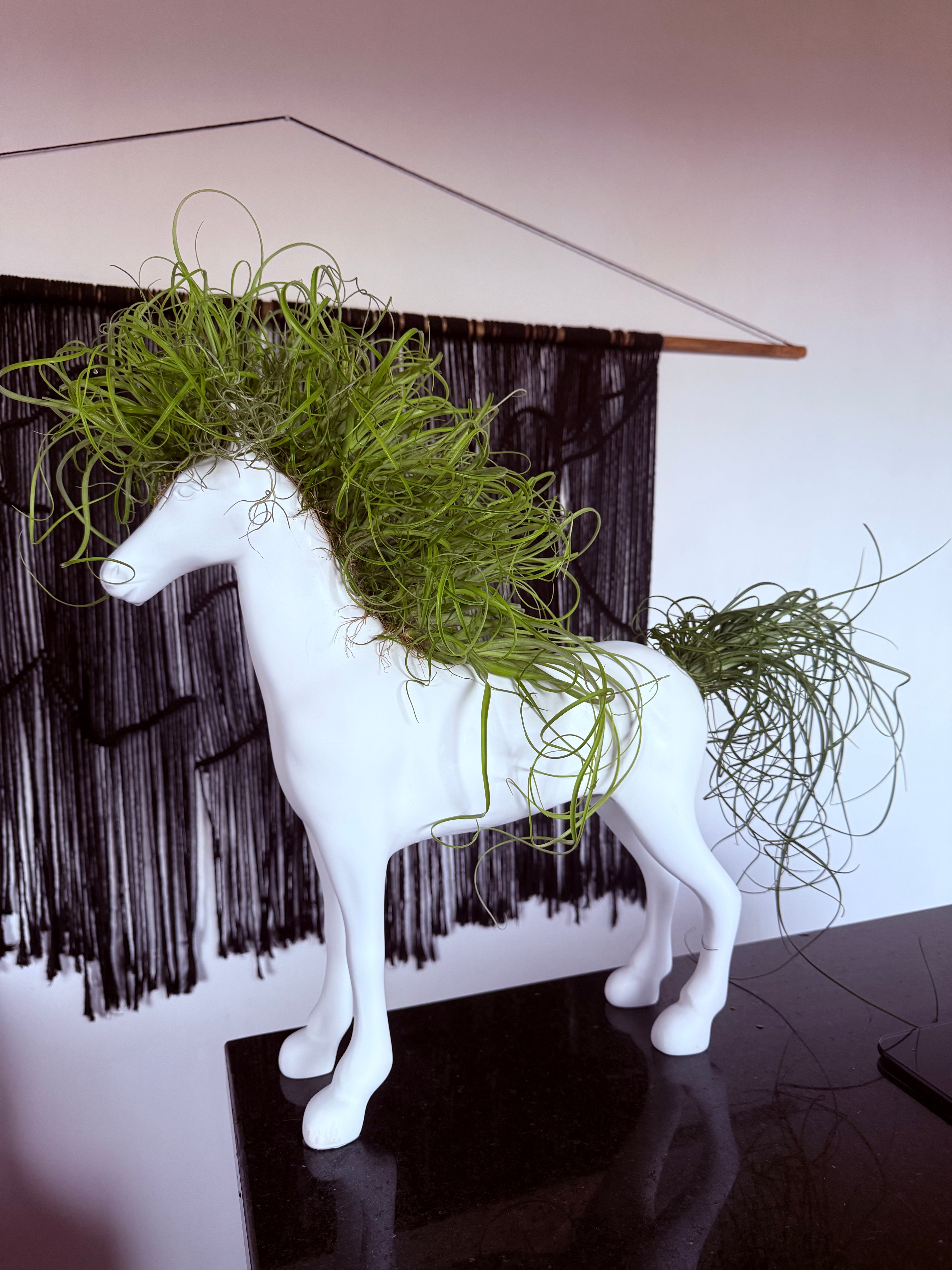 Caballo de la fortaleza 50x60cm(Resina) + plantas + Raíz vital 120 ml