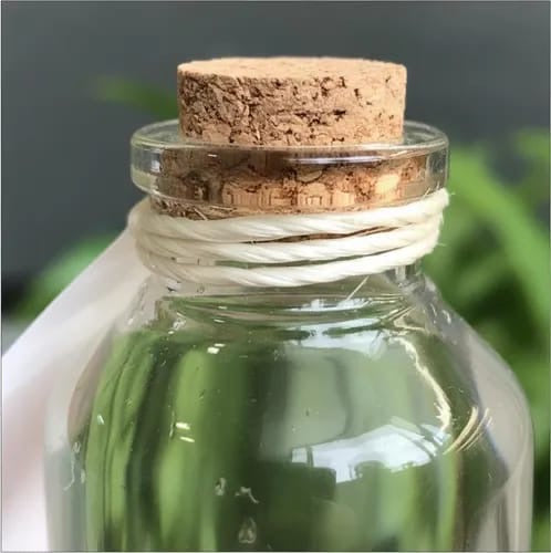 Marimo Moss Ball Ecosistema