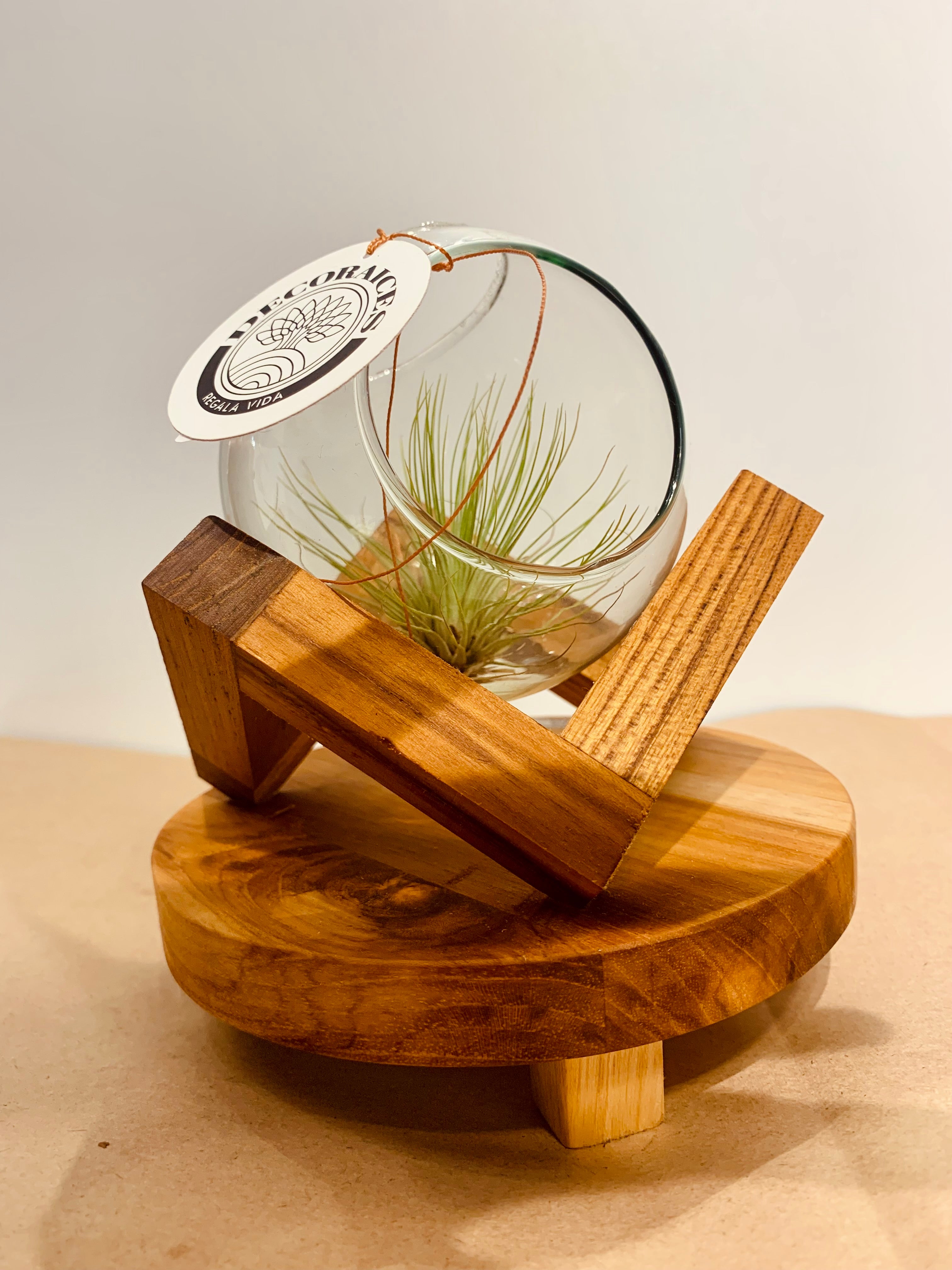 Till. Andreana terrarium M/V