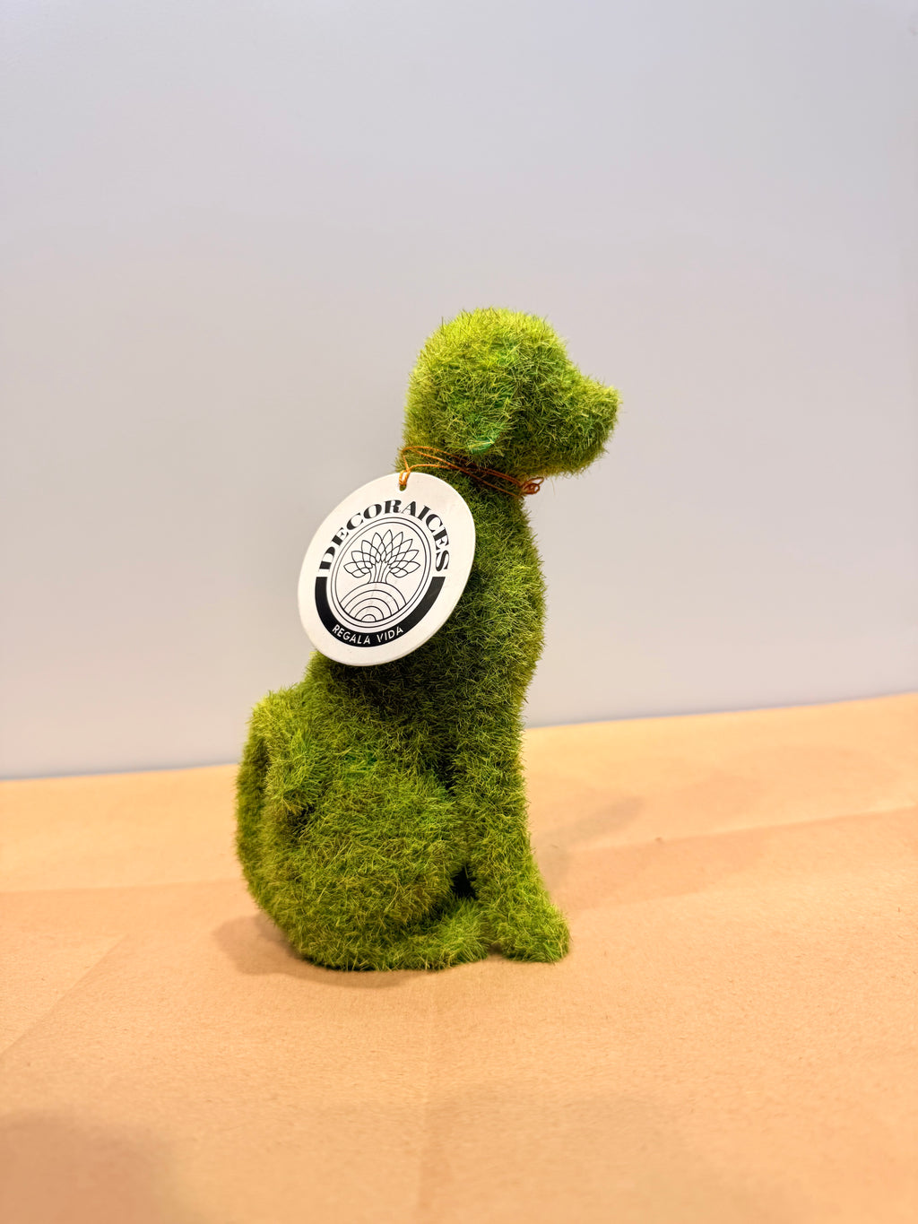 Perro de la protección