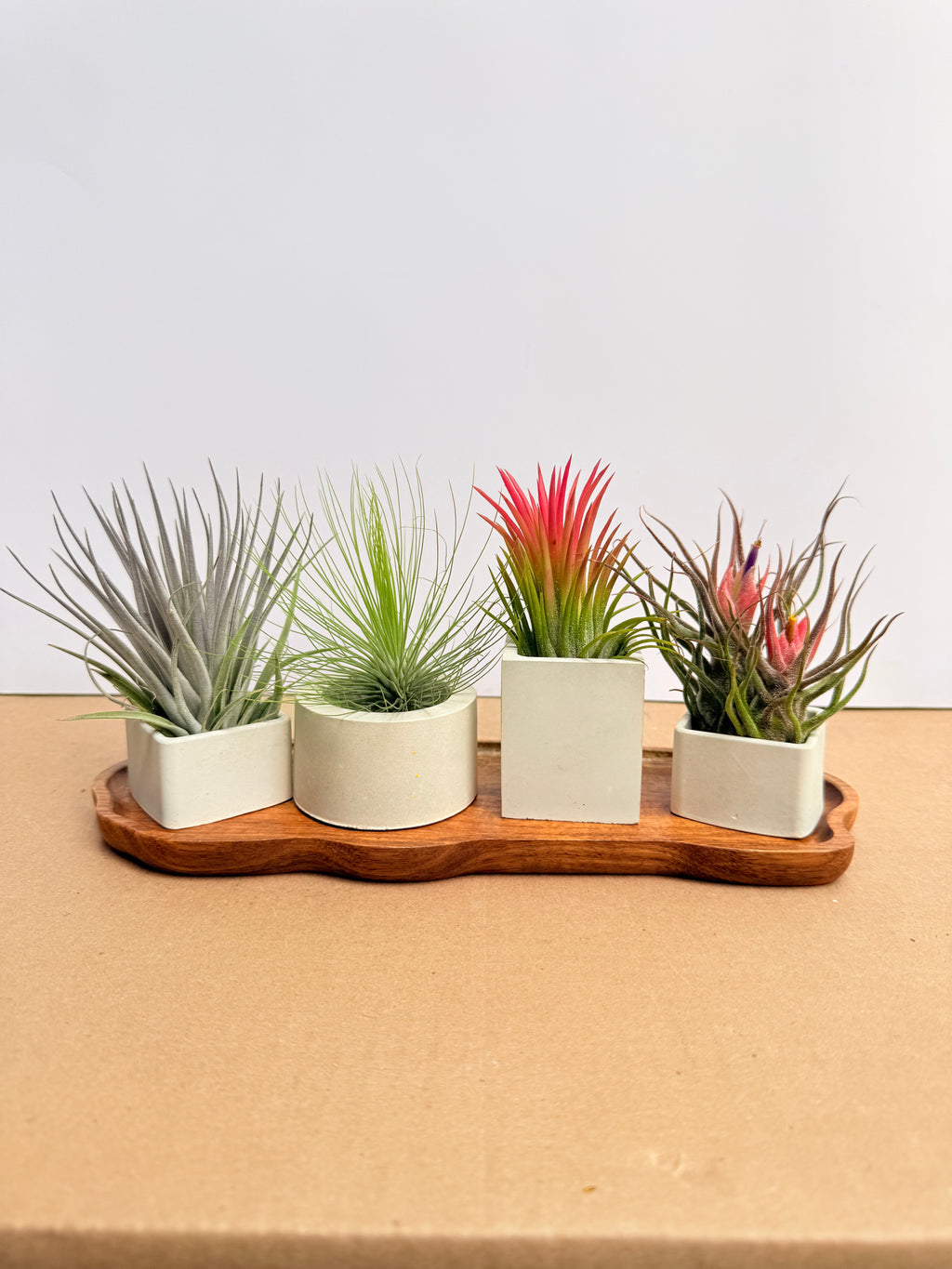 Kit Till. Mini 4x4 + materas + madera