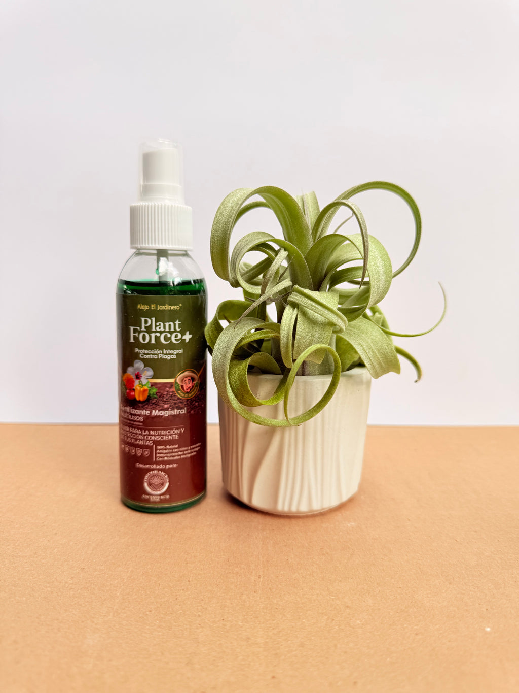 Kit Curly slim s+ plant force + matera