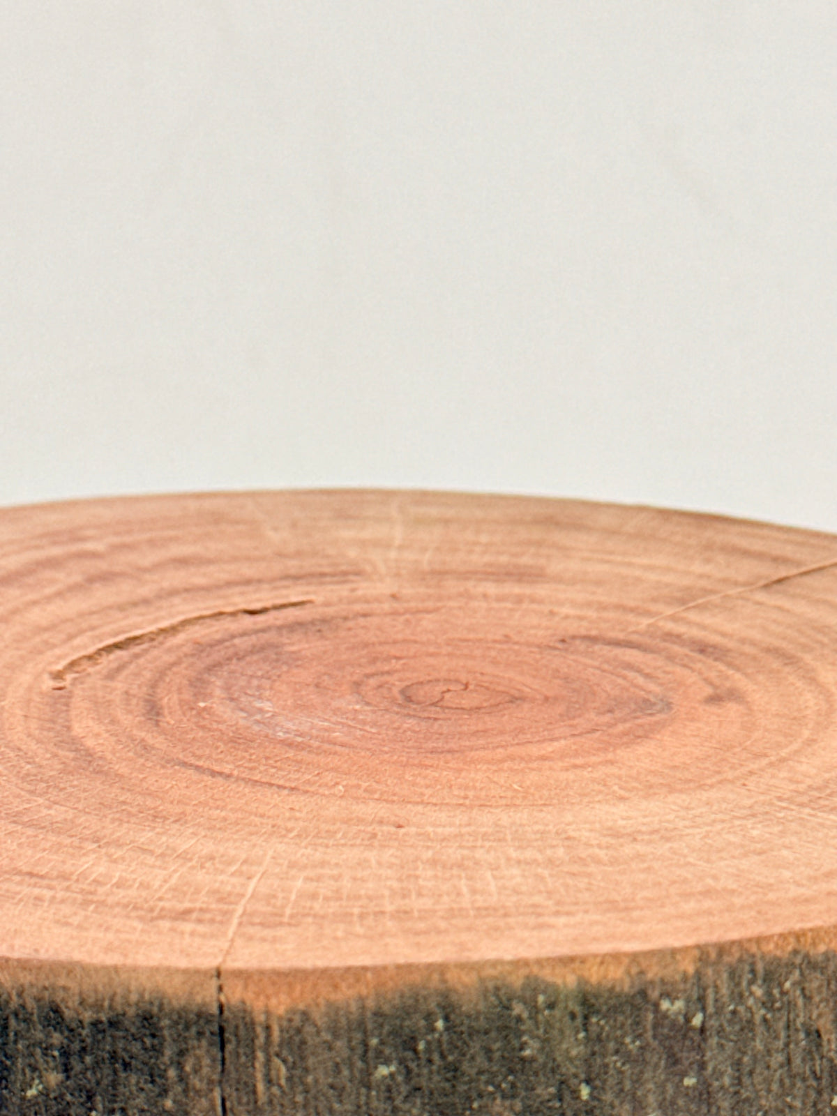 Rodaja de Madera mediana