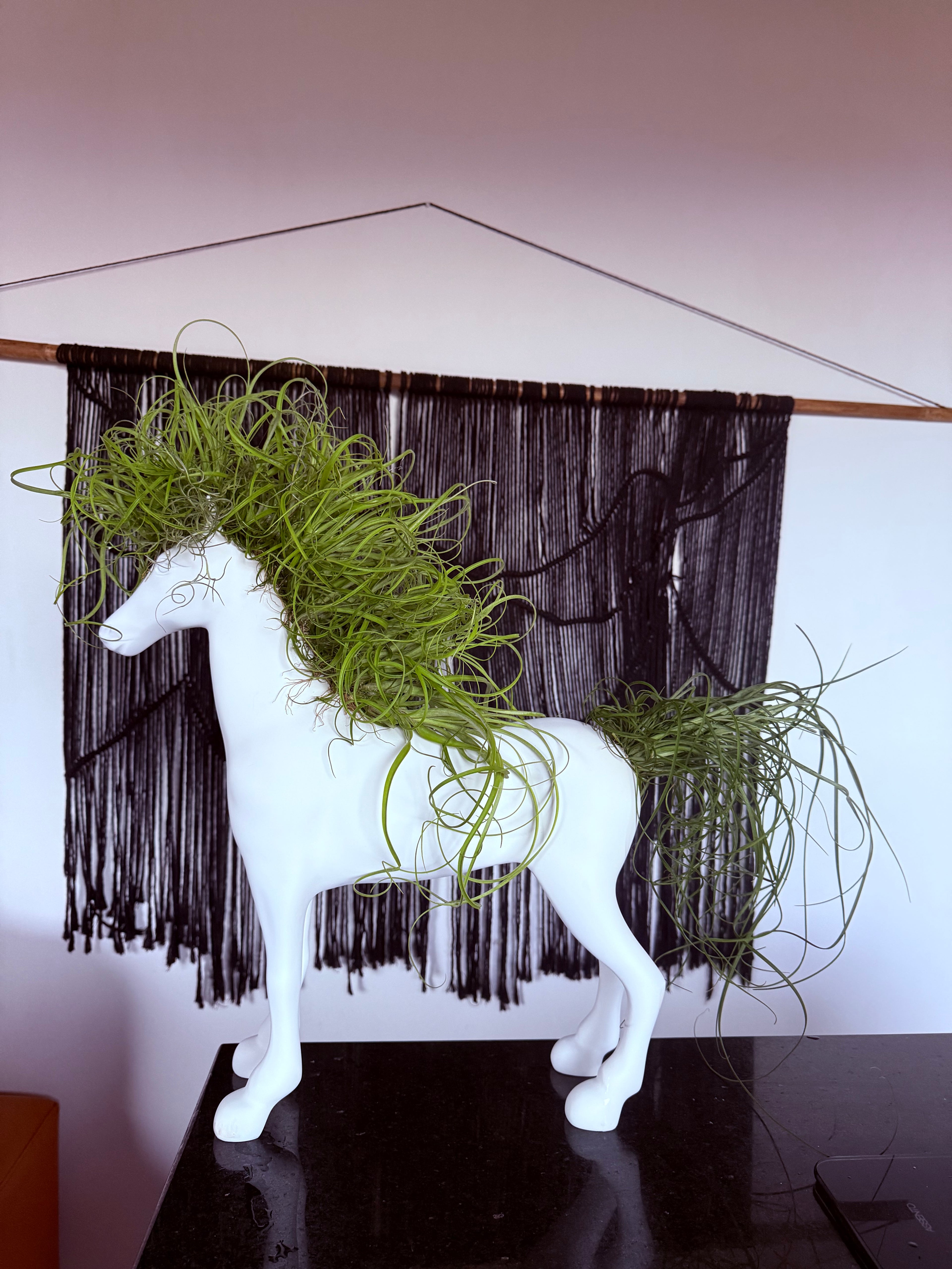 Caballo de la fortaleza 50x60cm(Resina) + plantas + Raíz vital 120 ml