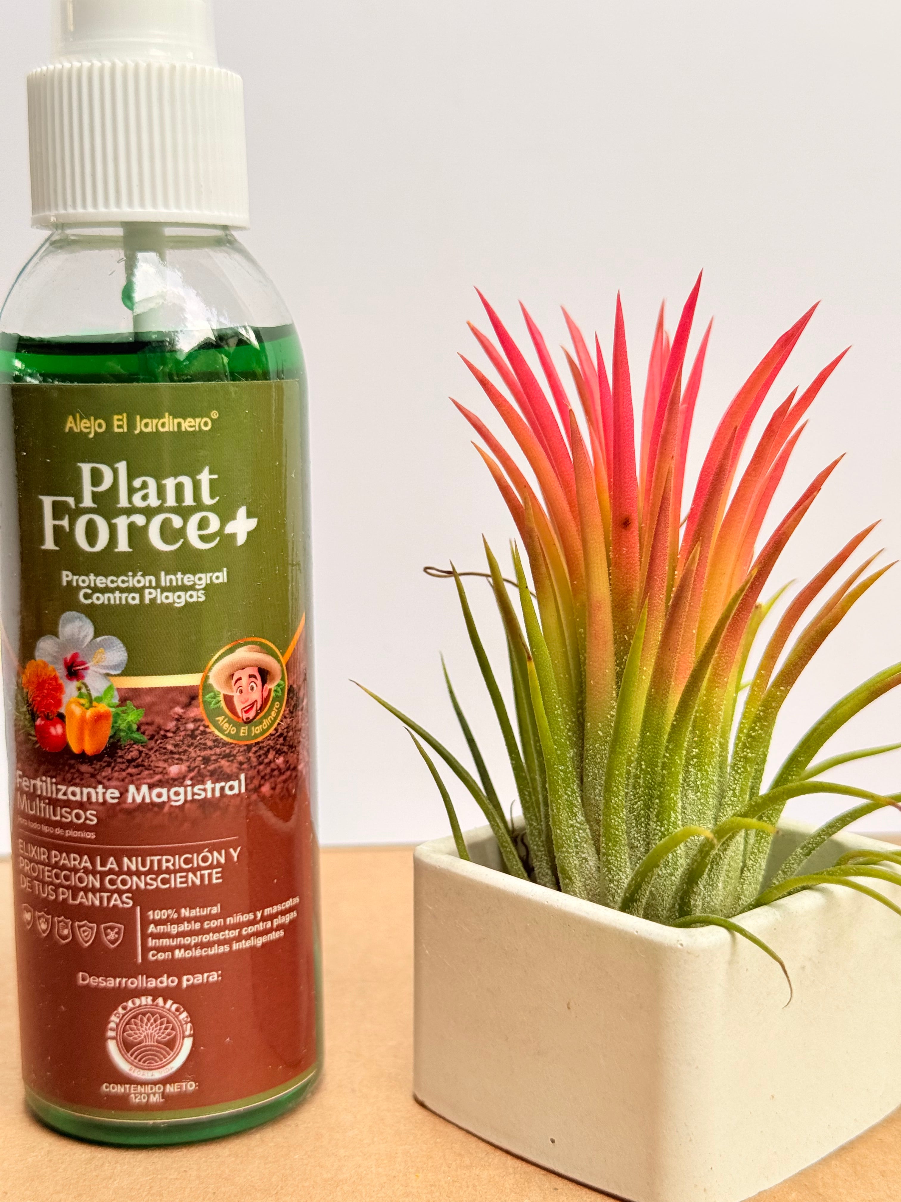 Kit Till. Ionantha red + plant force + matera