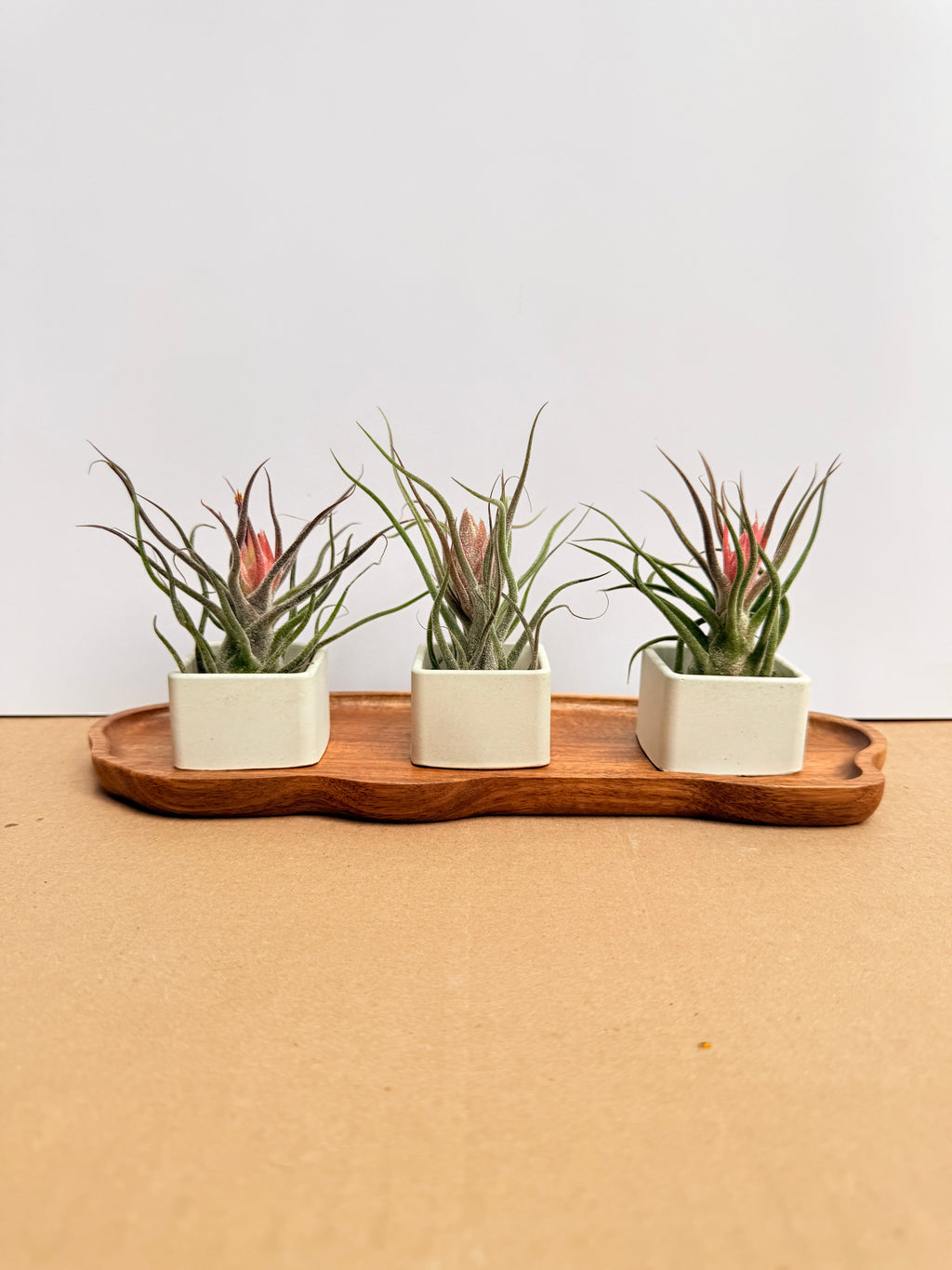 Kit Till. Mini 3x3 + materas + madera bandeja