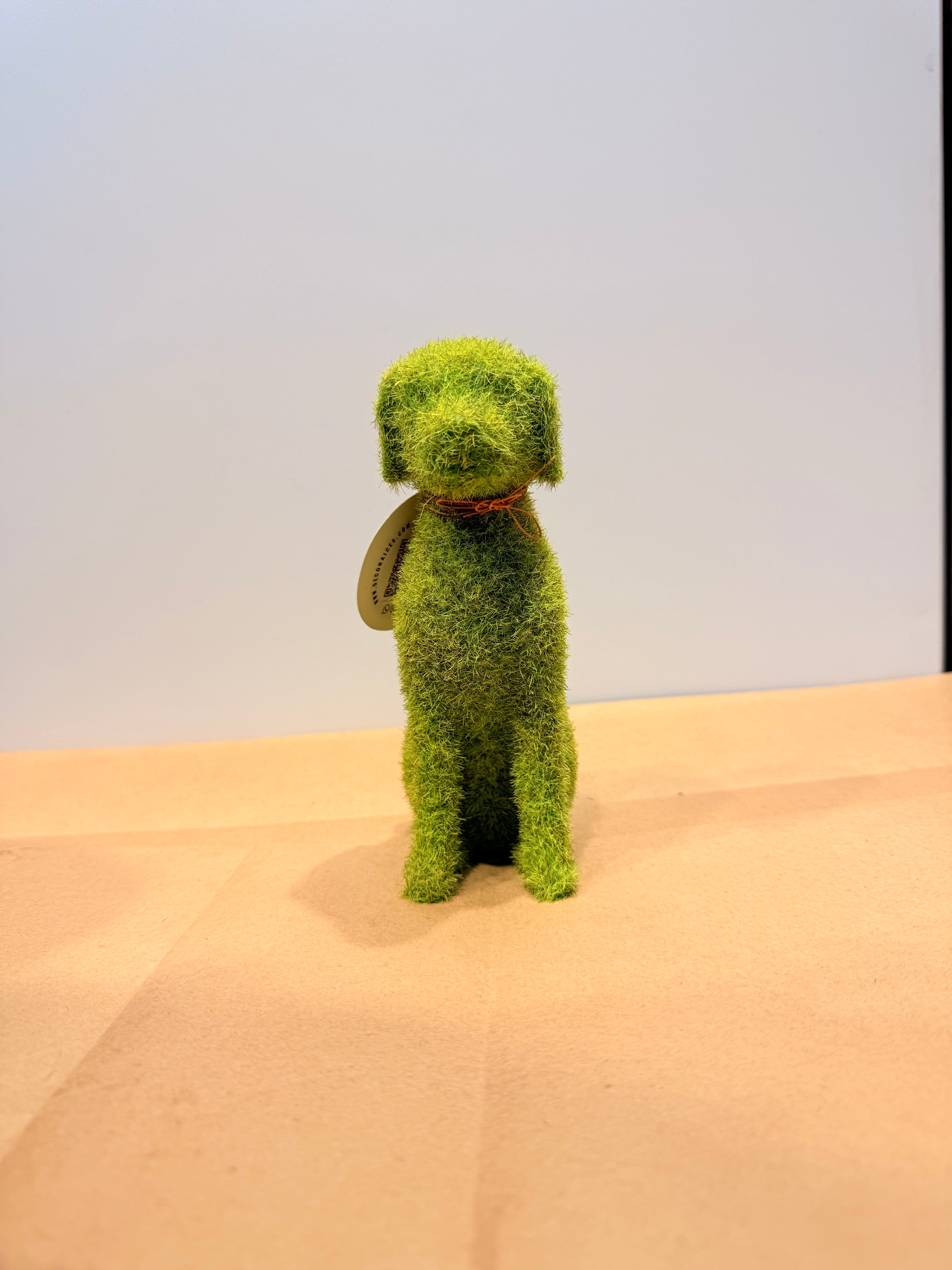 Perro de la protección