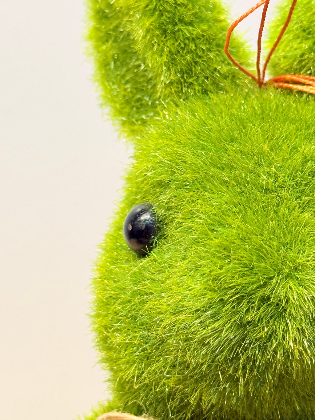 Conejo de la prosperidad + base