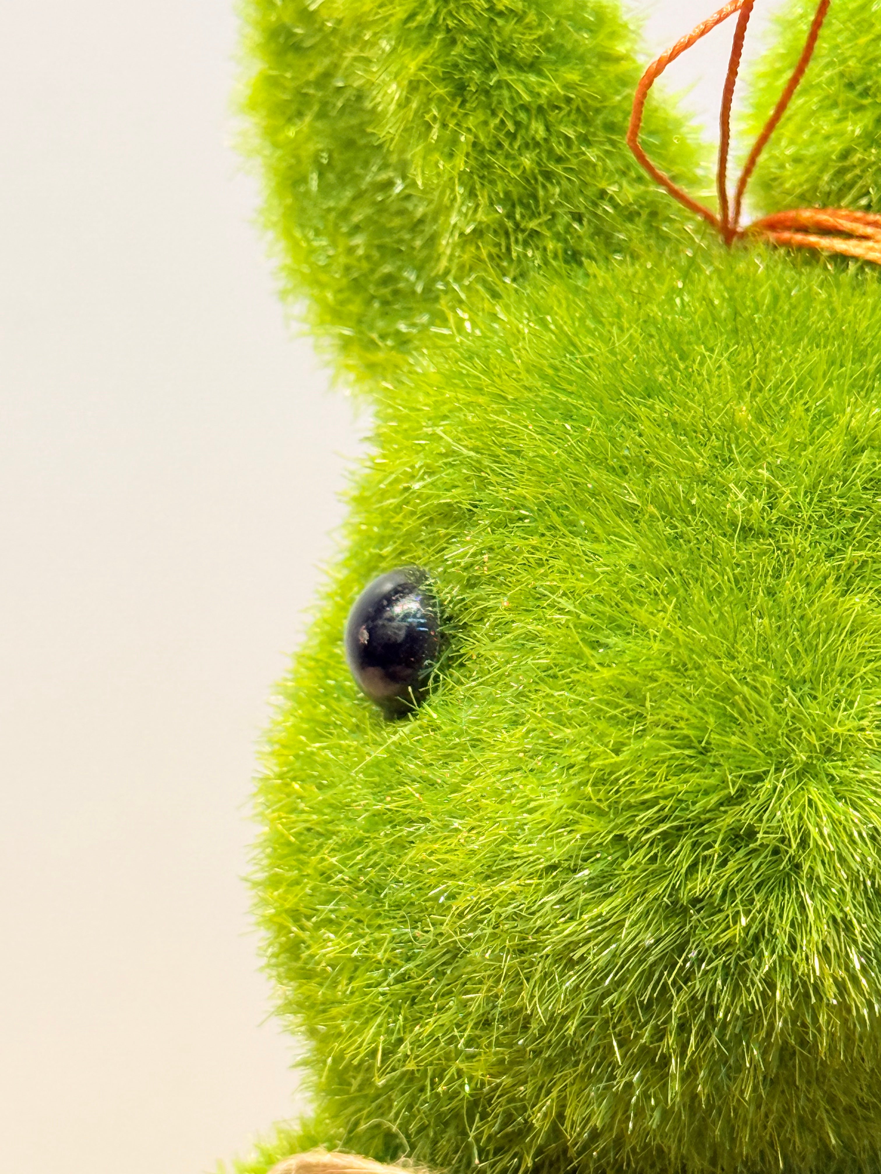 Conejo de la prosperidad + base