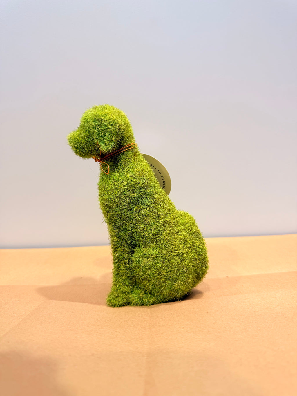 Perro de la protección