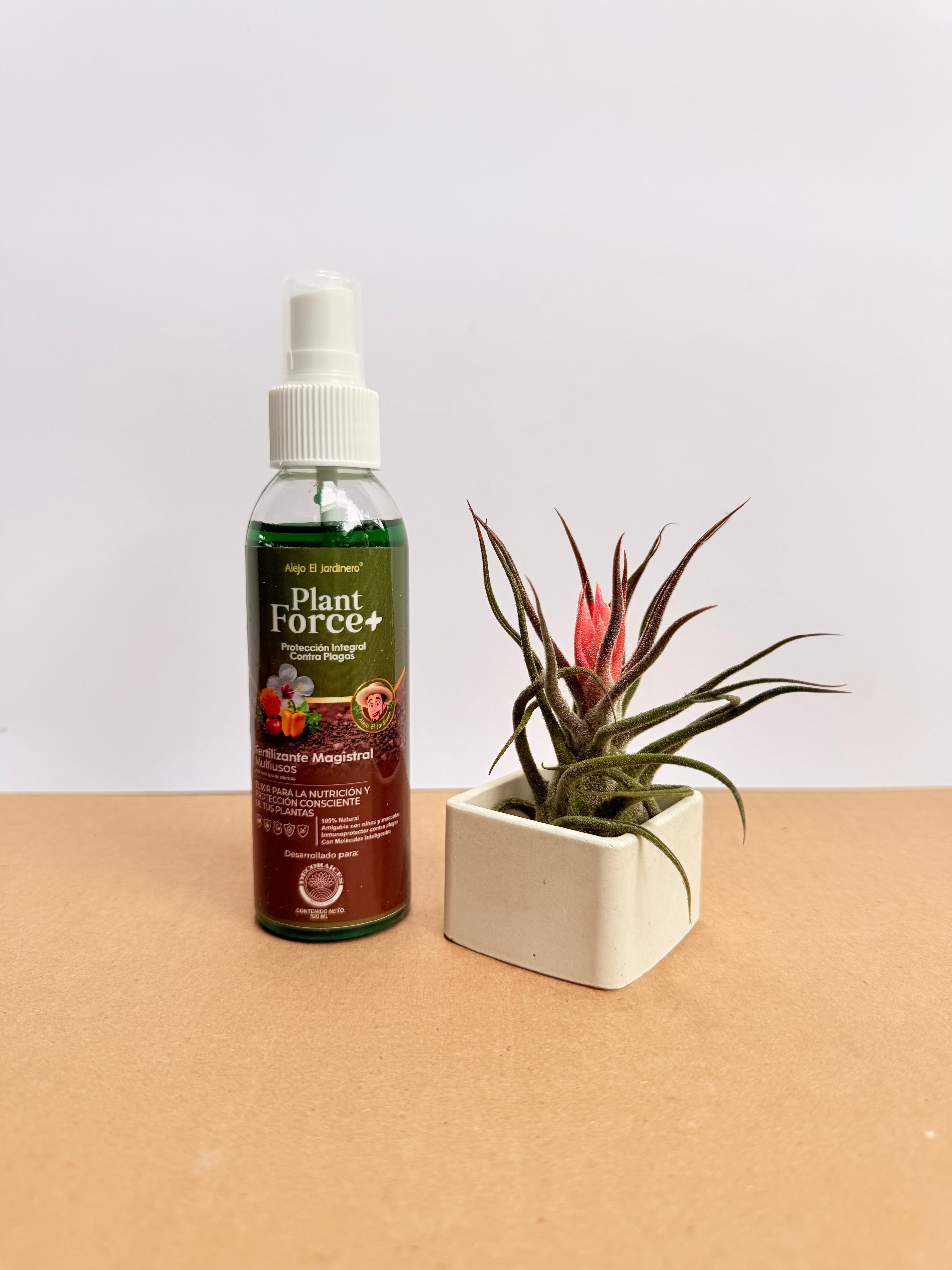 Kit Till. Ionantha red + plant force + matera