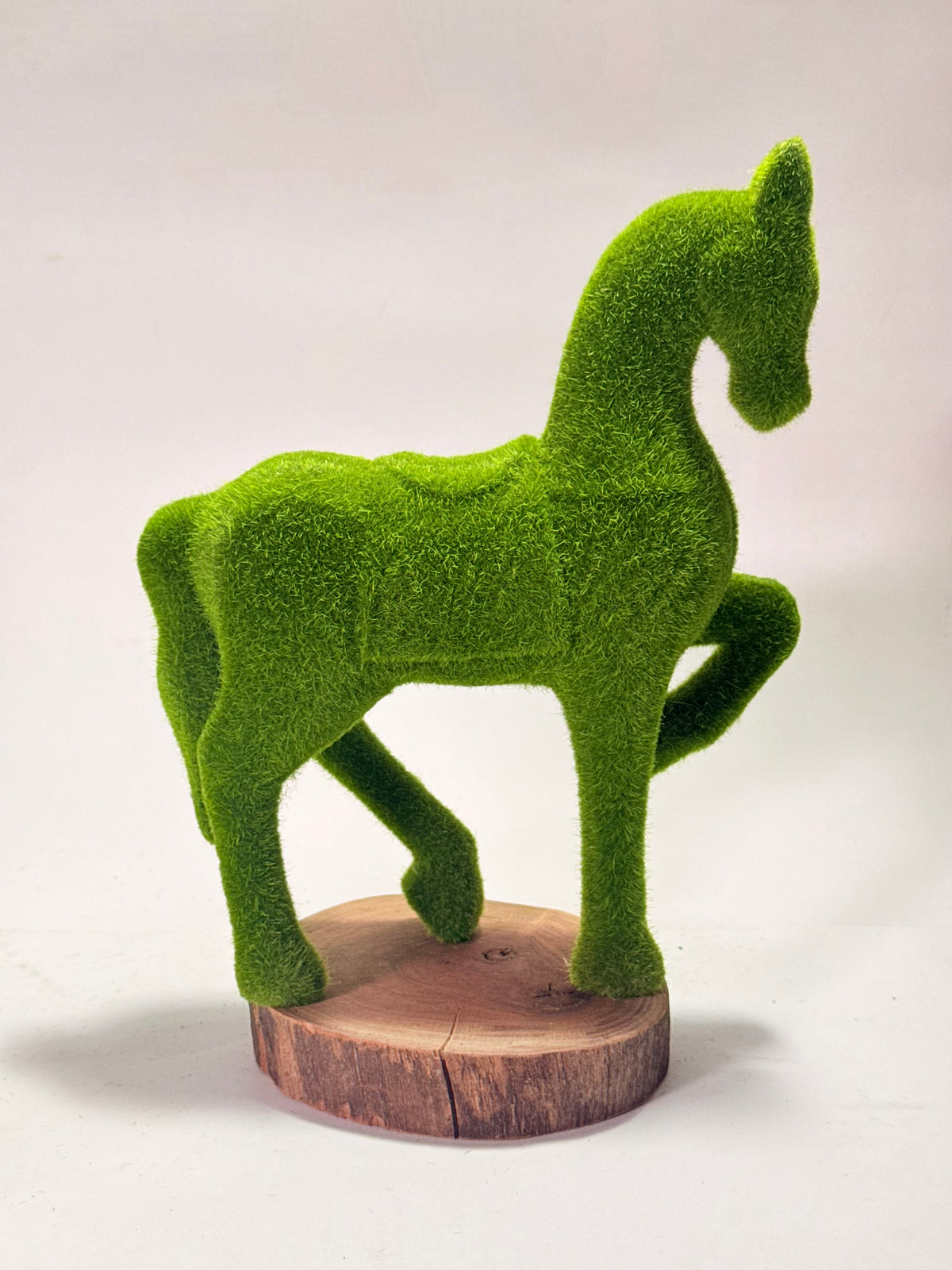 Caballo de pasto enérgico