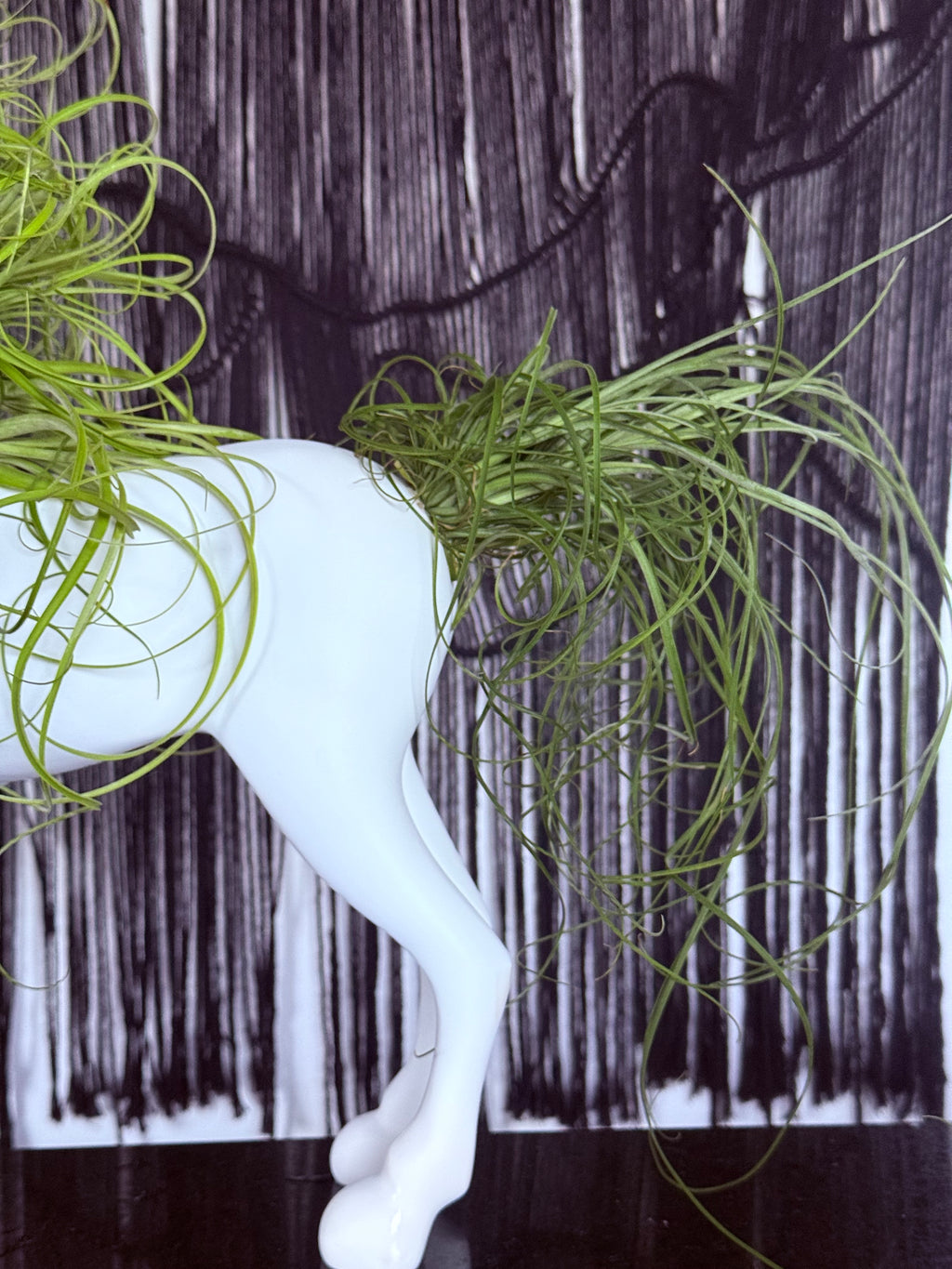 Caballo de la fortaleza 50x60cm(Resina) + plantas + Raíz vital 120 ml