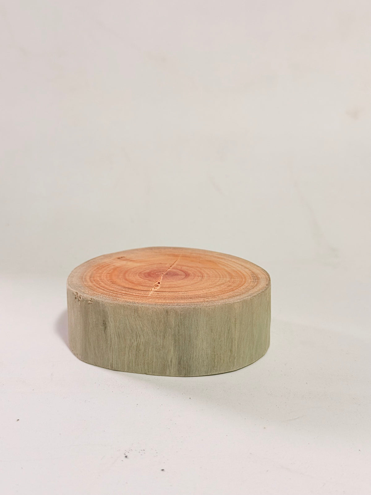 Rodaja de madera pequeña