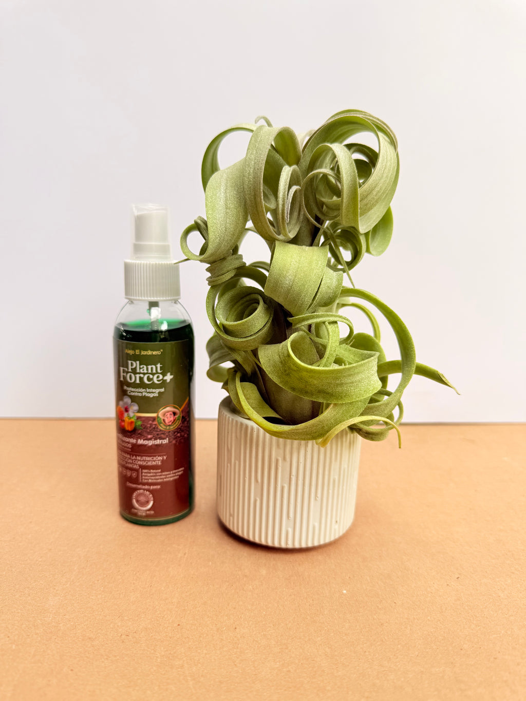 Kit Till. Curly slim m + plant force + matera