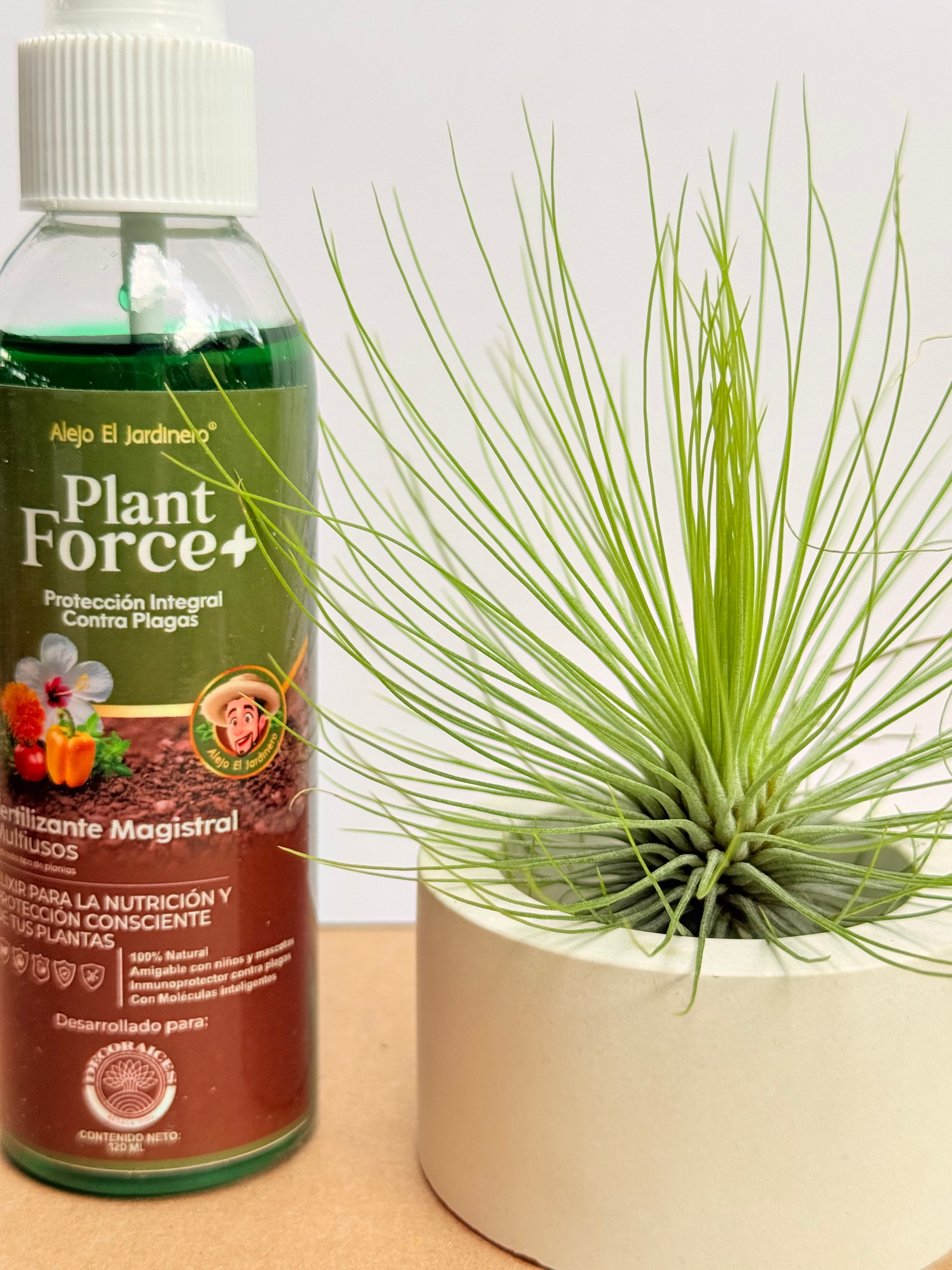 Kit Till. Andreana L + plant force + matera