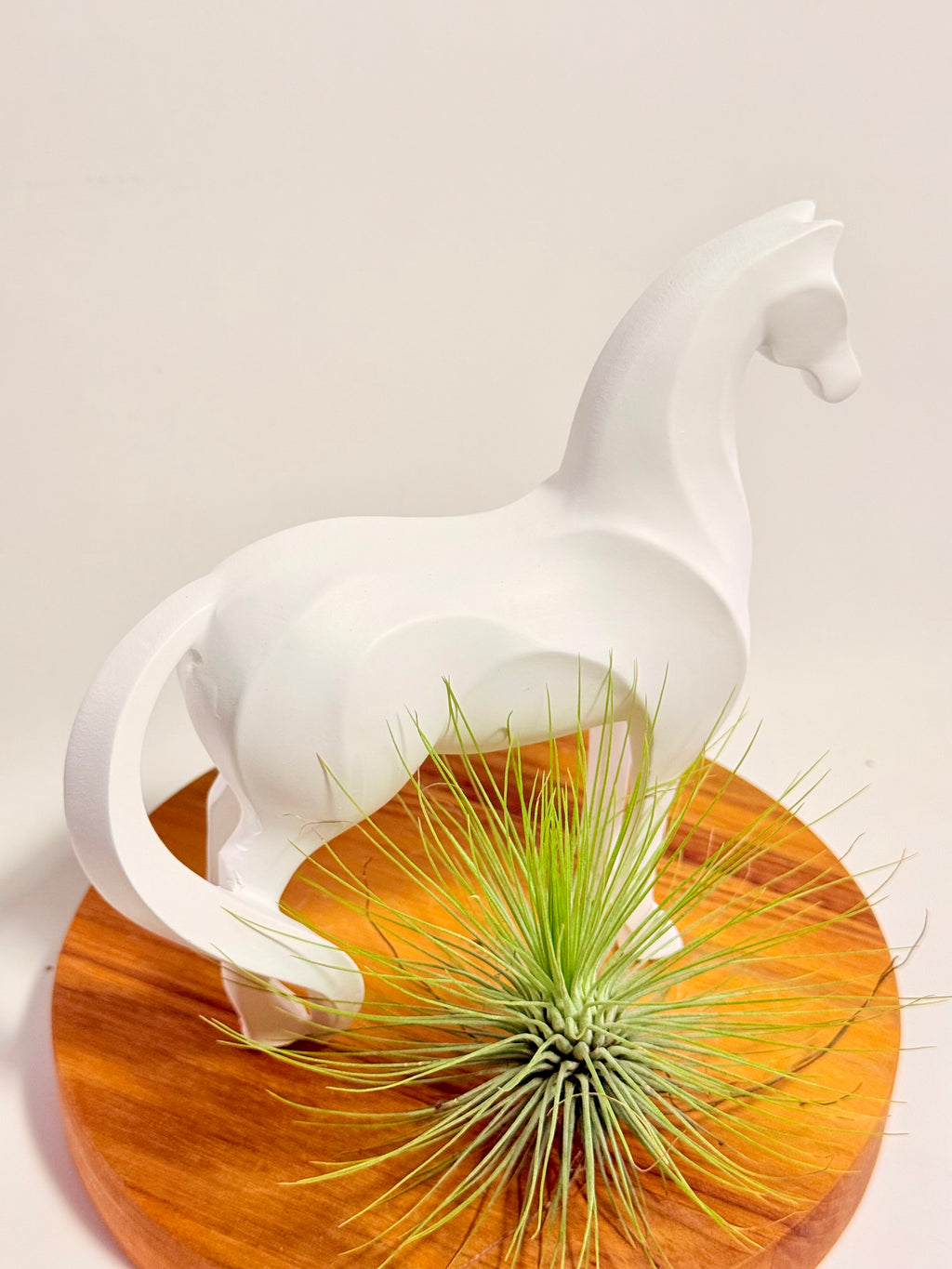 Caballo del éxito + planta