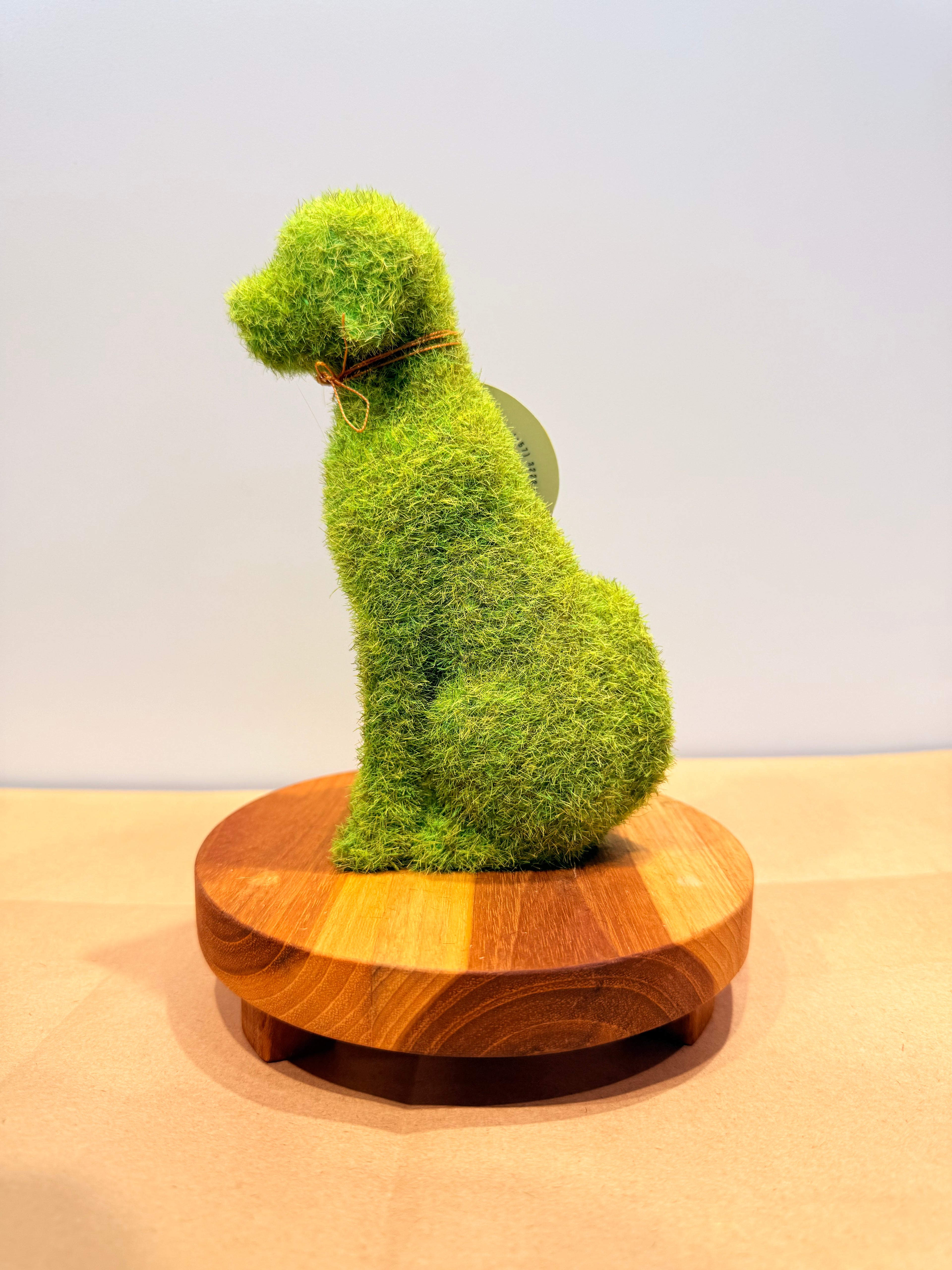 Perro de la protección + base