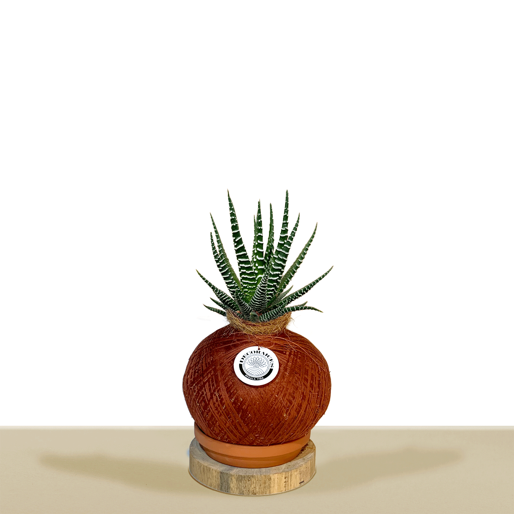 Koke Mini Savilon Zebra