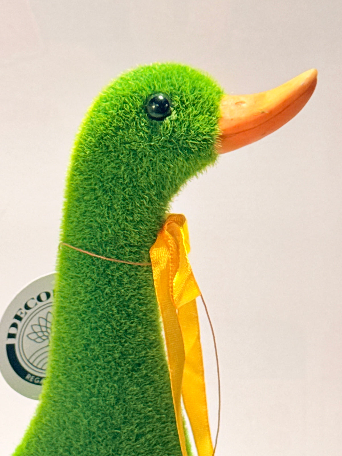 Pato de pasto