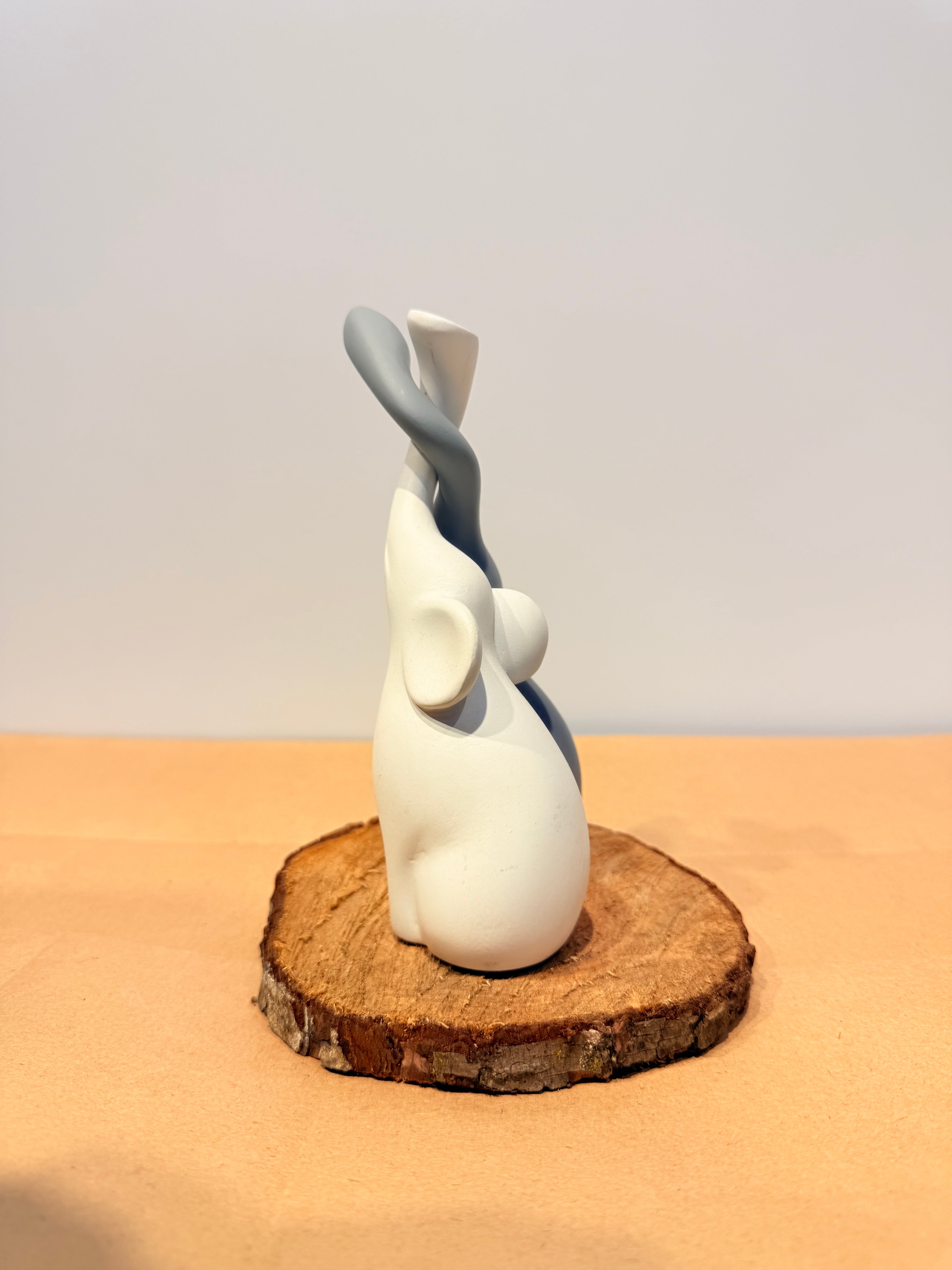 Elefantes Feng Shui resina