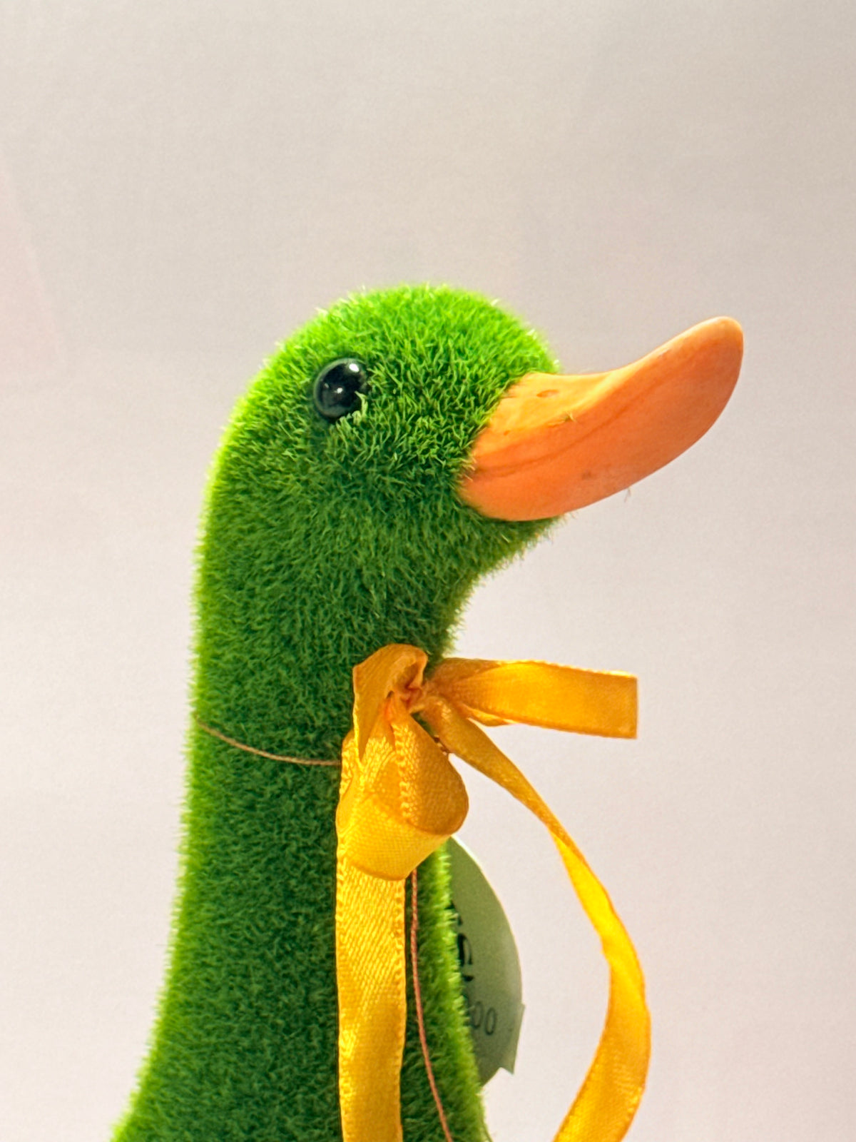 Pato de pasto