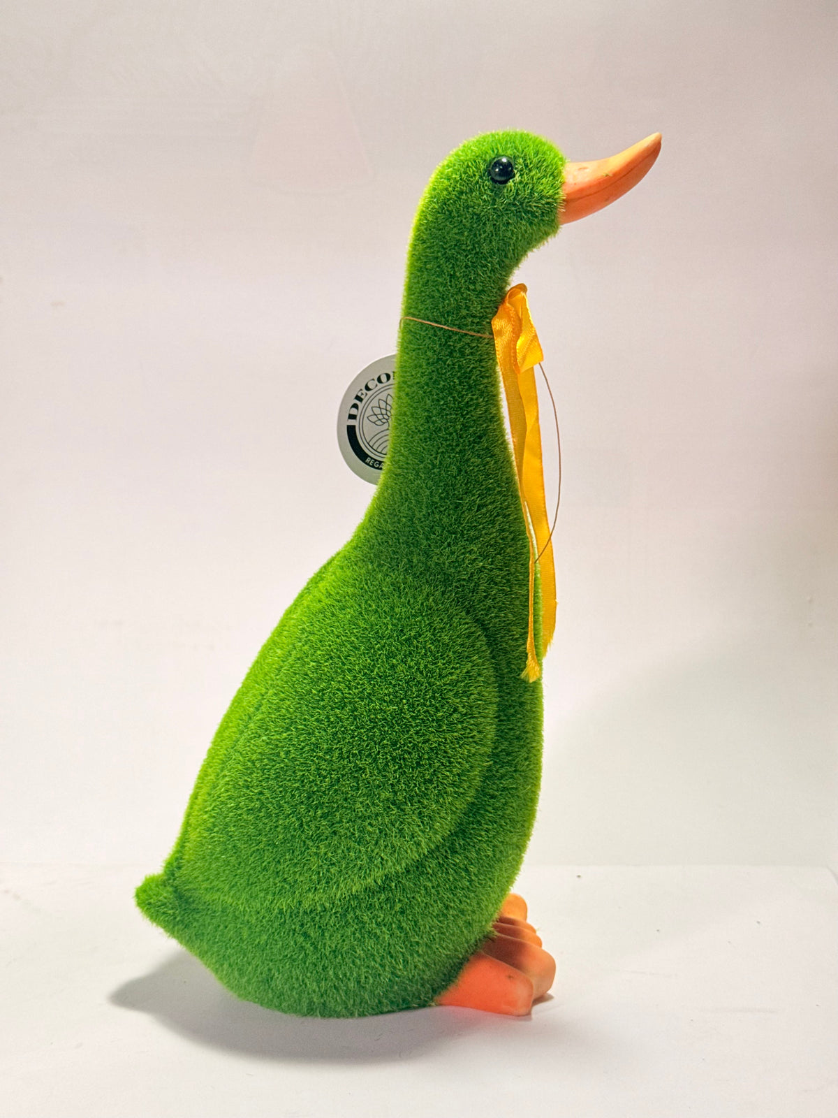 Pato de pasto