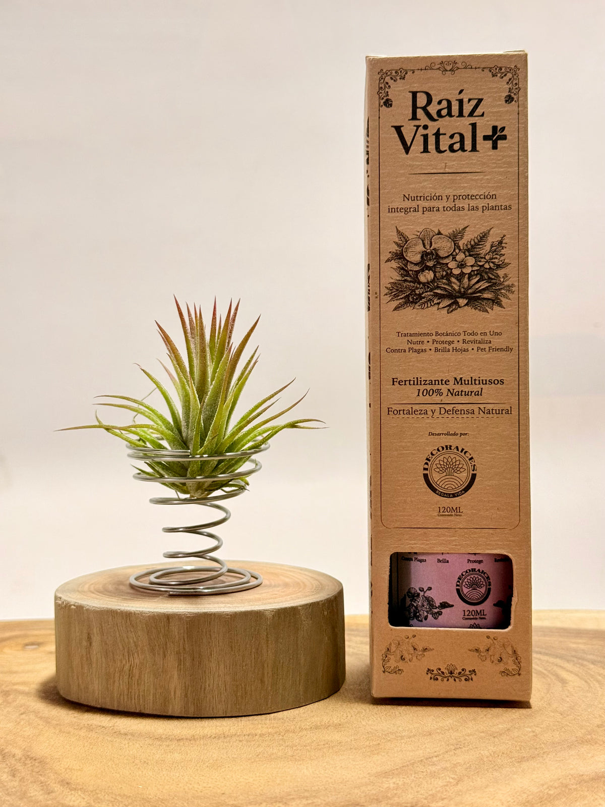 Kit Till. Ionantha + madera + espiral + fertilizante