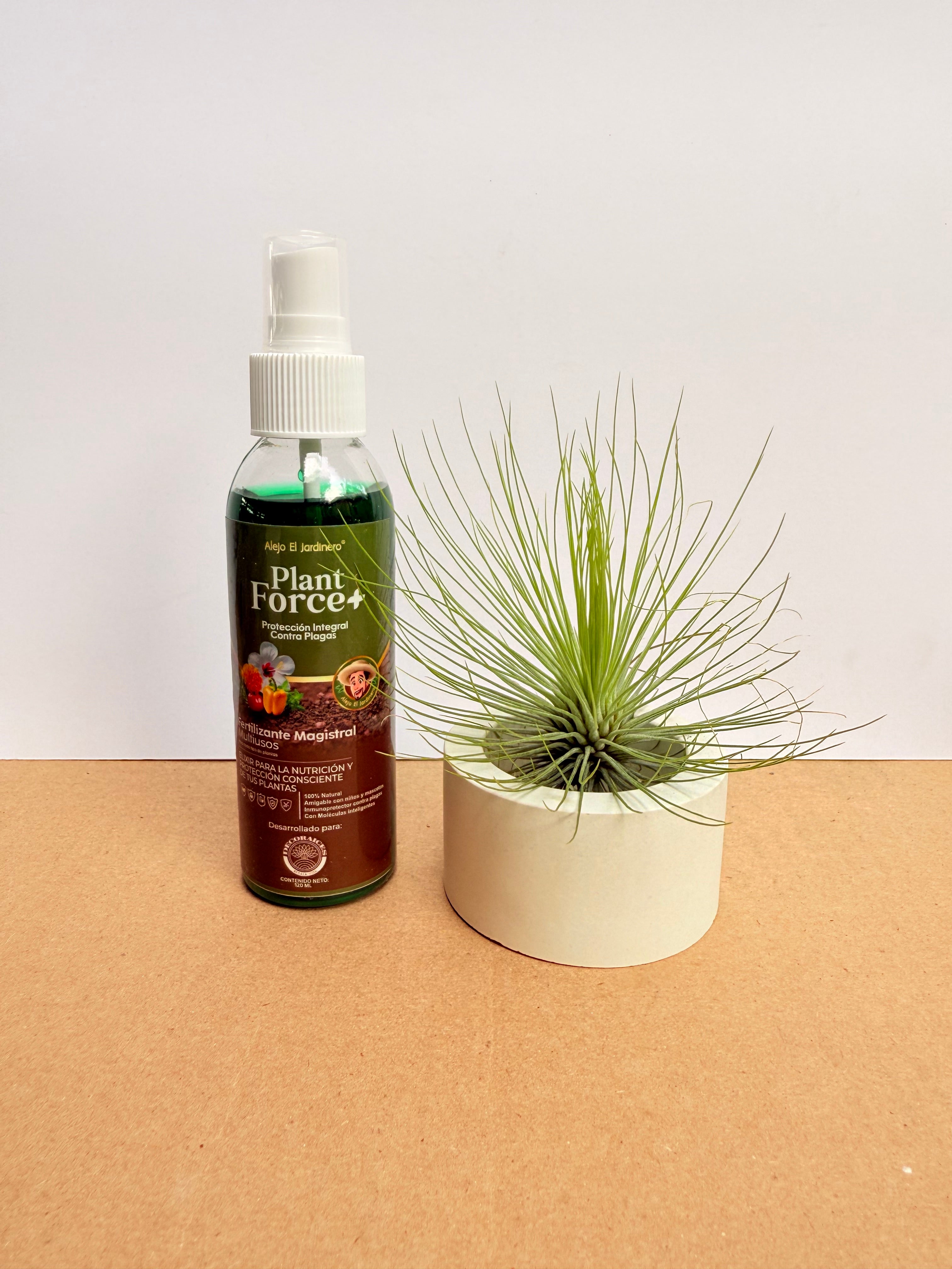 Kit Till. Andreana L + plant force + matera