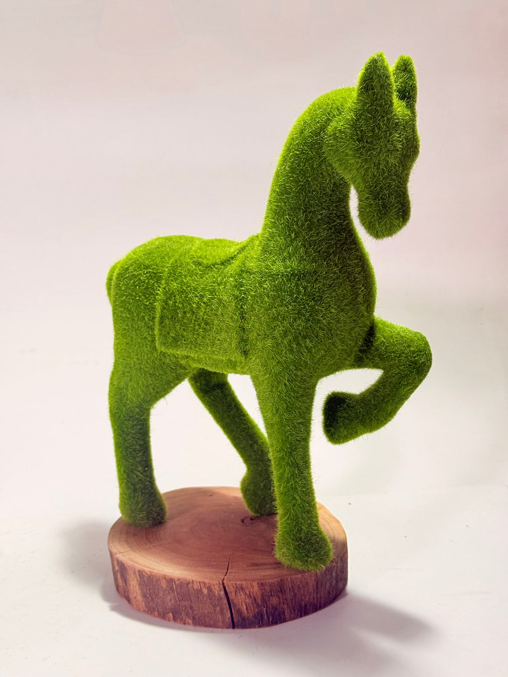 Caballo de pasto enérgico