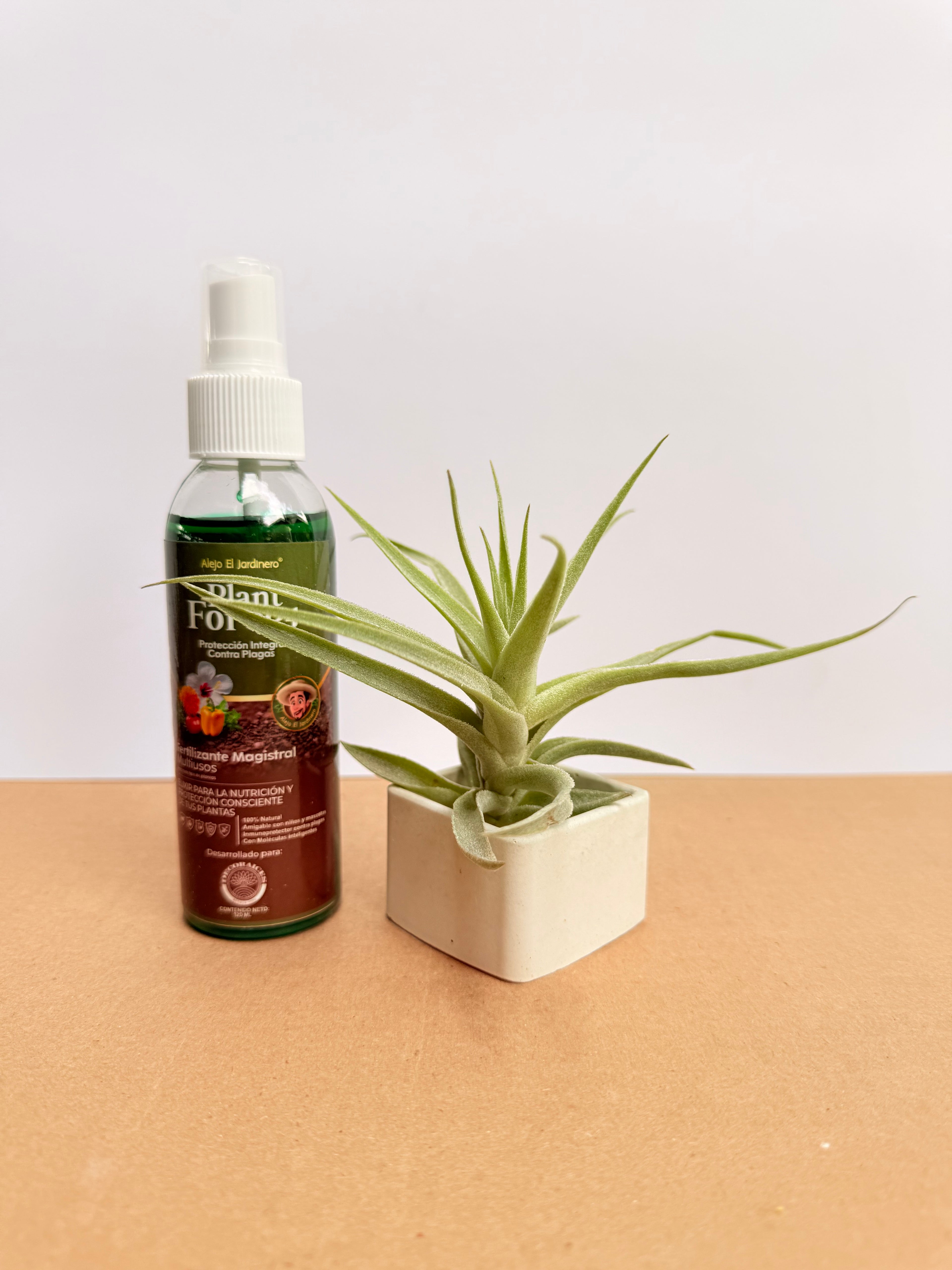 Kit Till. Cacticola xs + plant force + matera